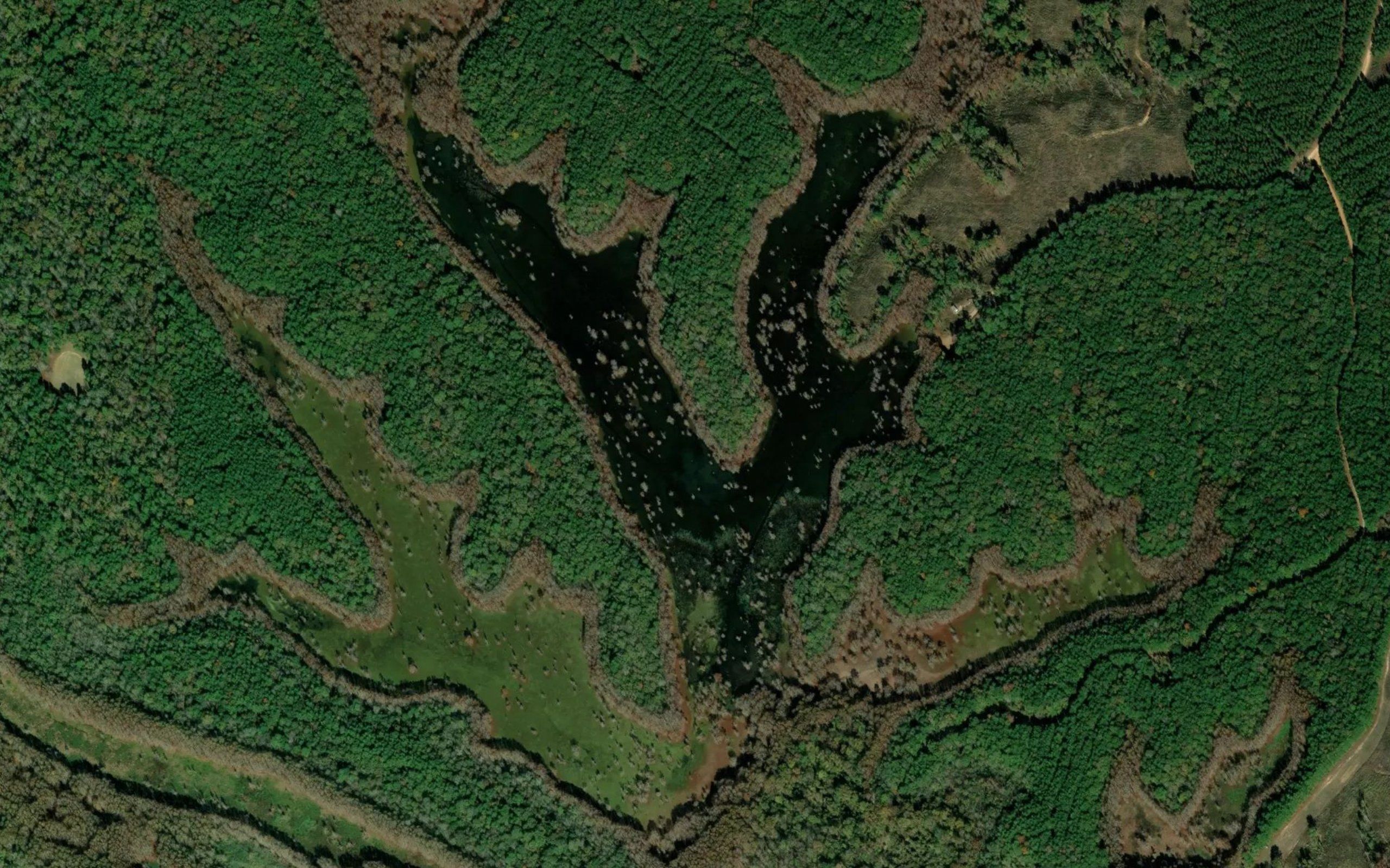 Big Lake