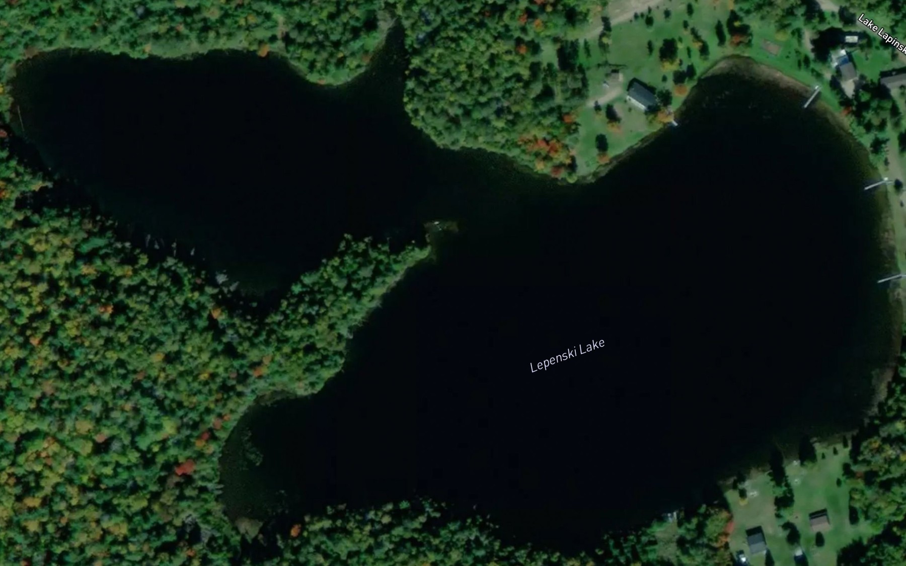 Satellite map of the Lepenski Lake