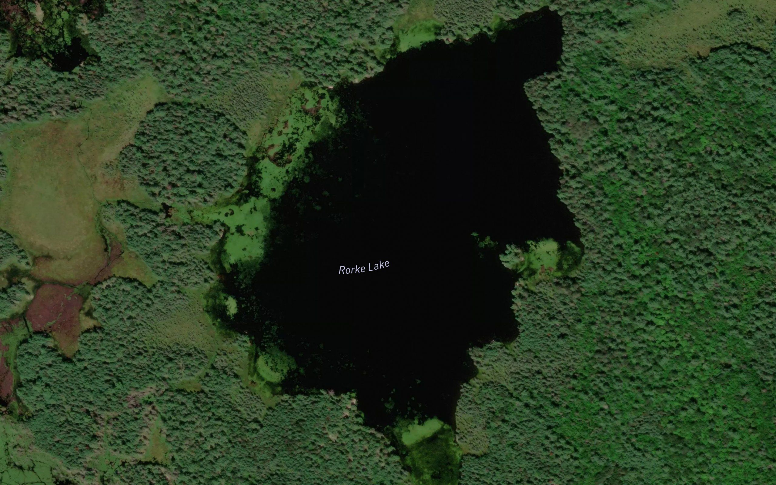 Rorke Lake