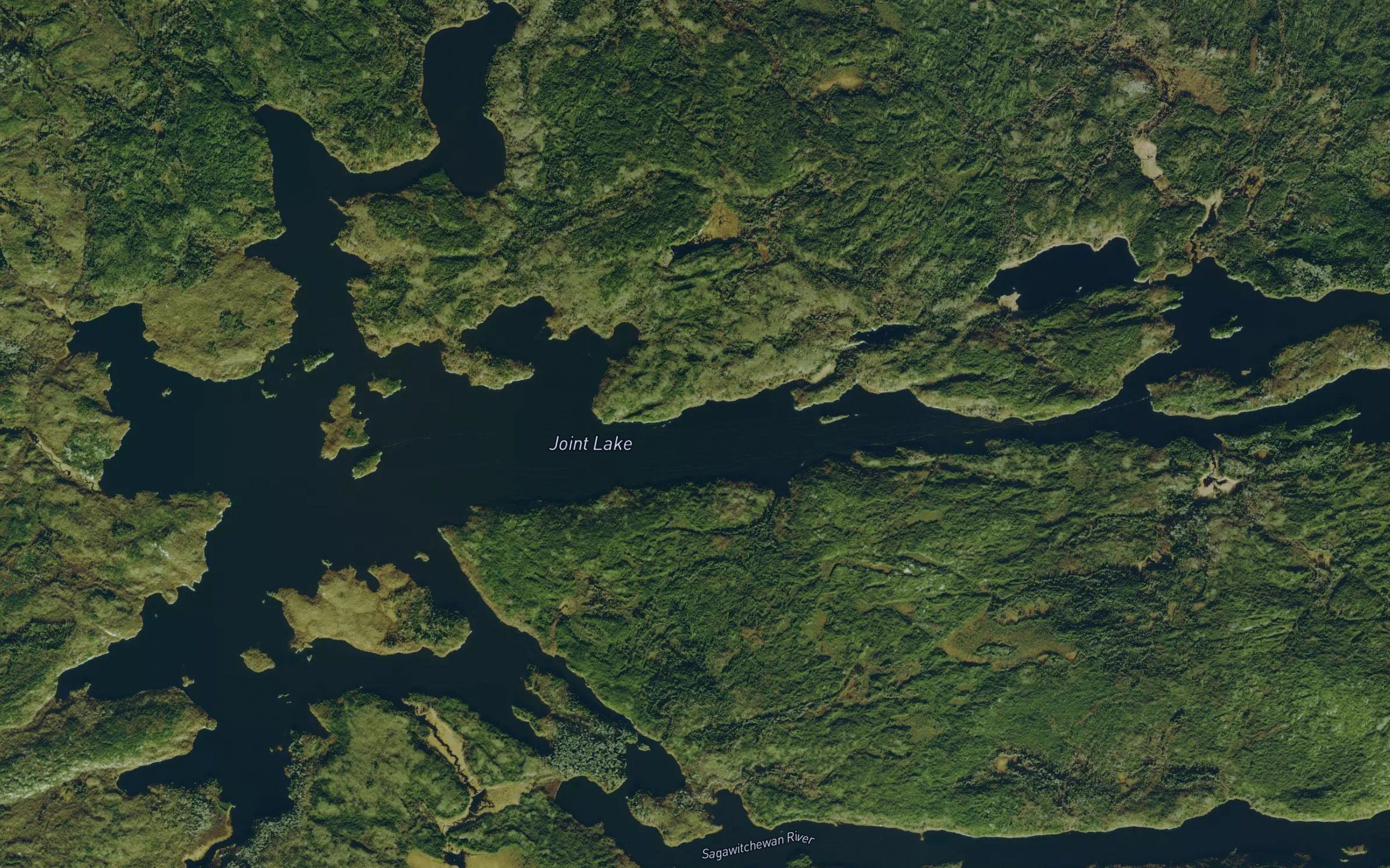 Joint Lake