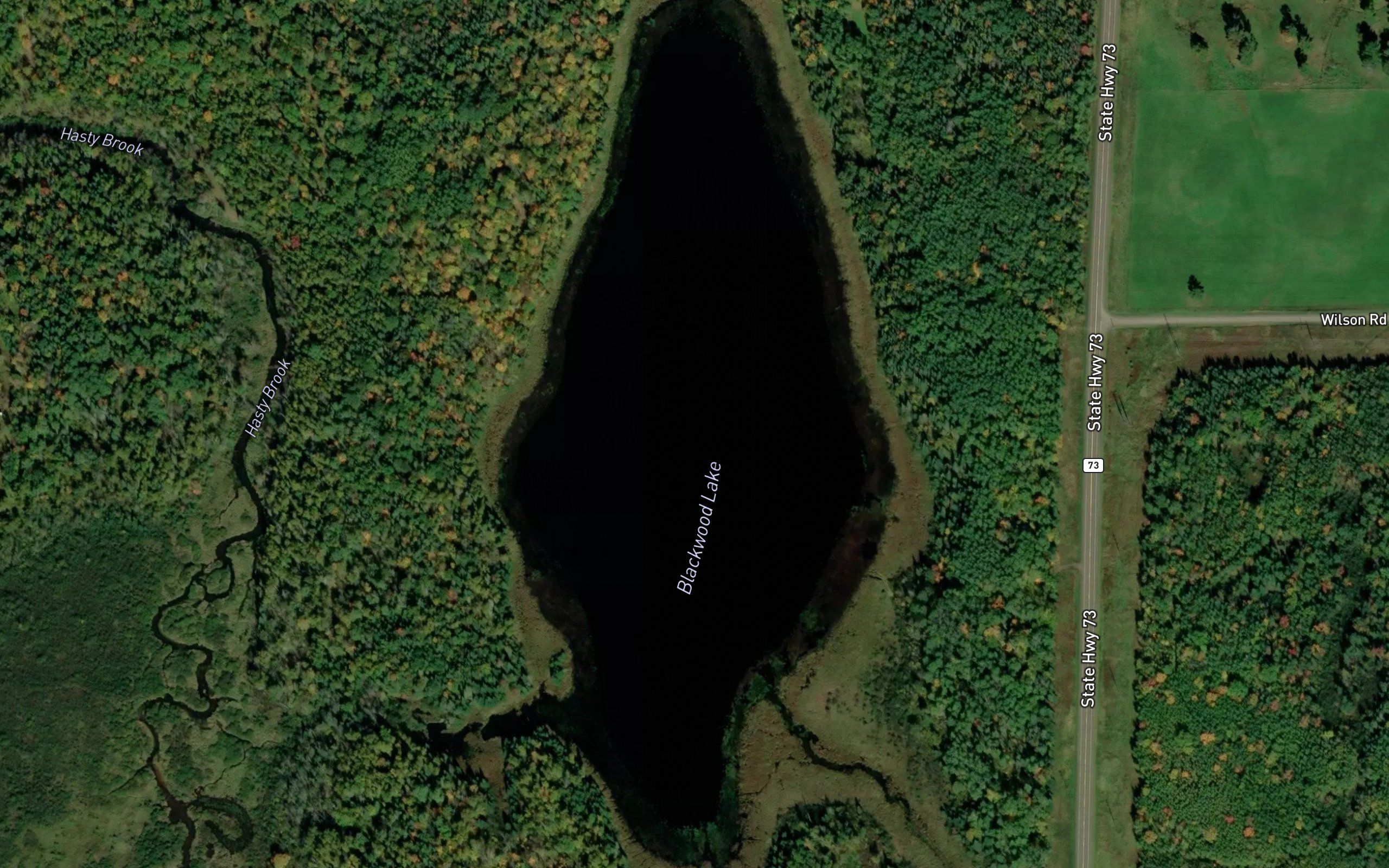 Blackwood Lake