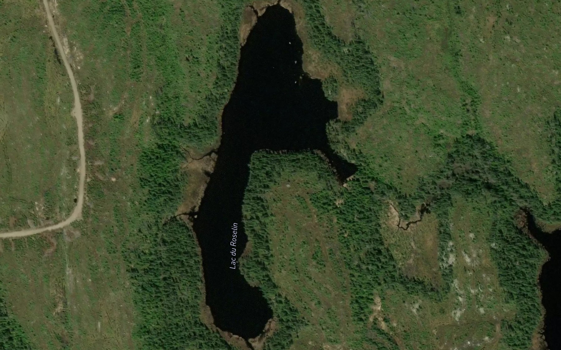 Satellite map of the Lac du Roselin