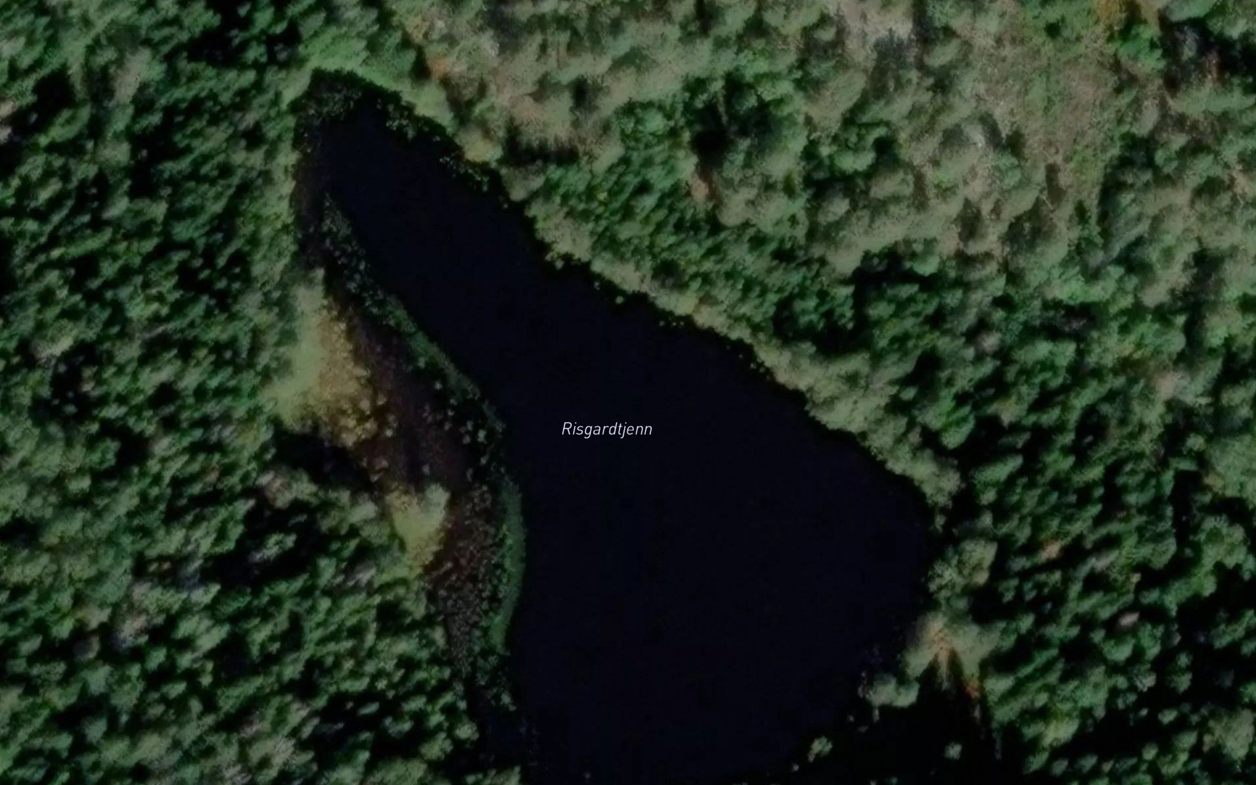 Risgardtjern