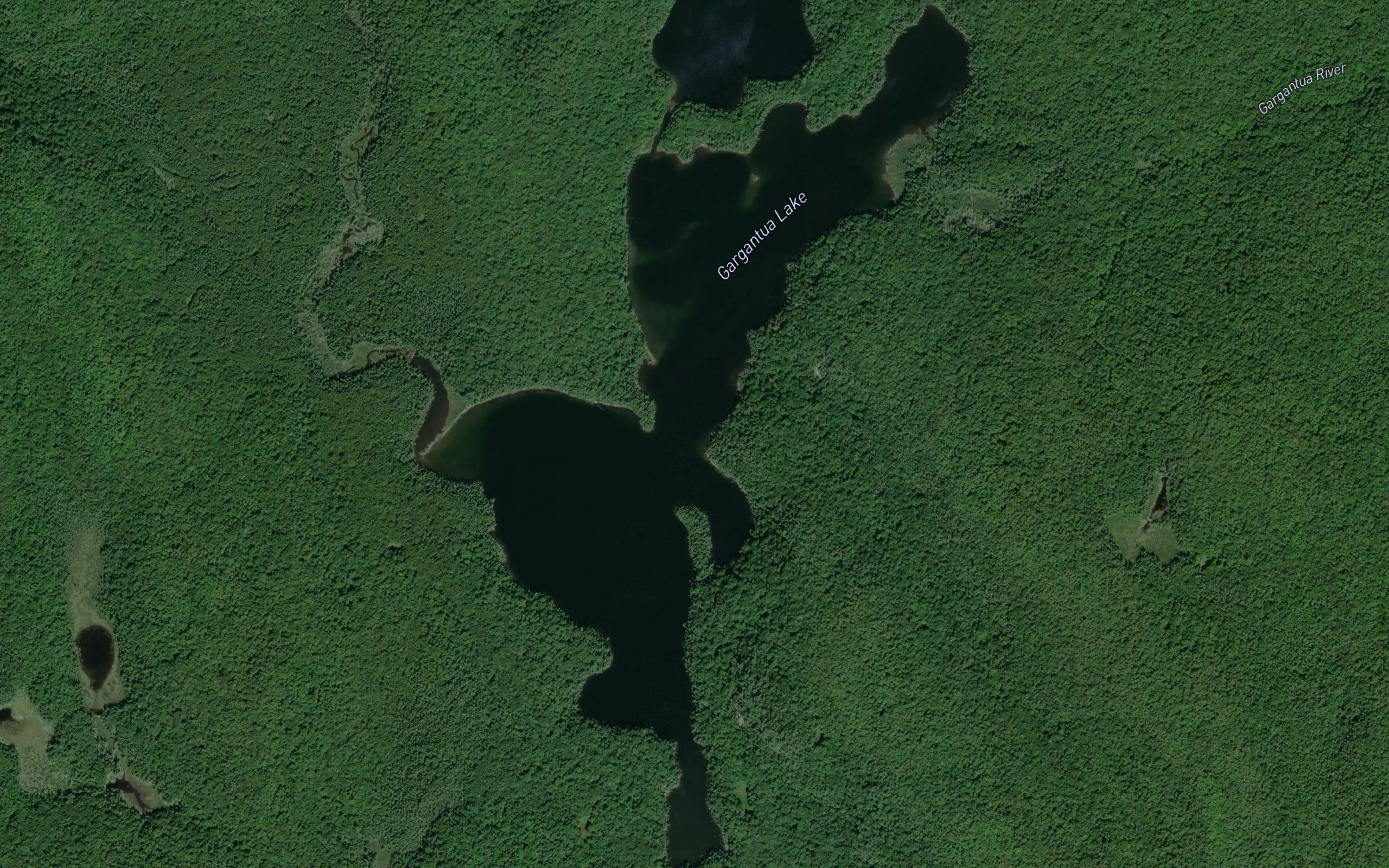 Gargantua Lake