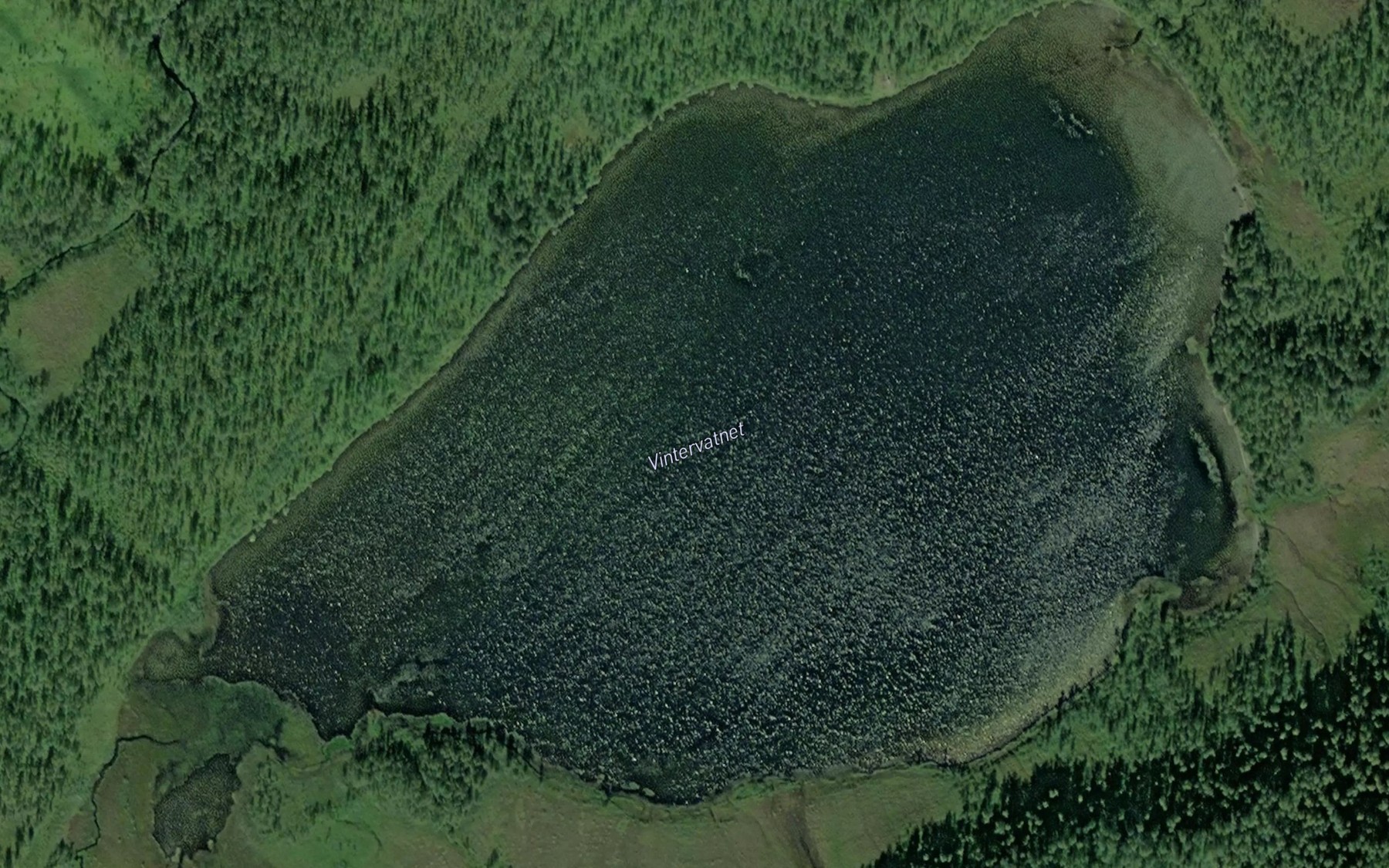 Satellite map of the Vintervatnet