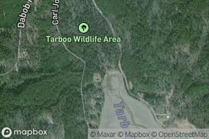 Tarboo Creek