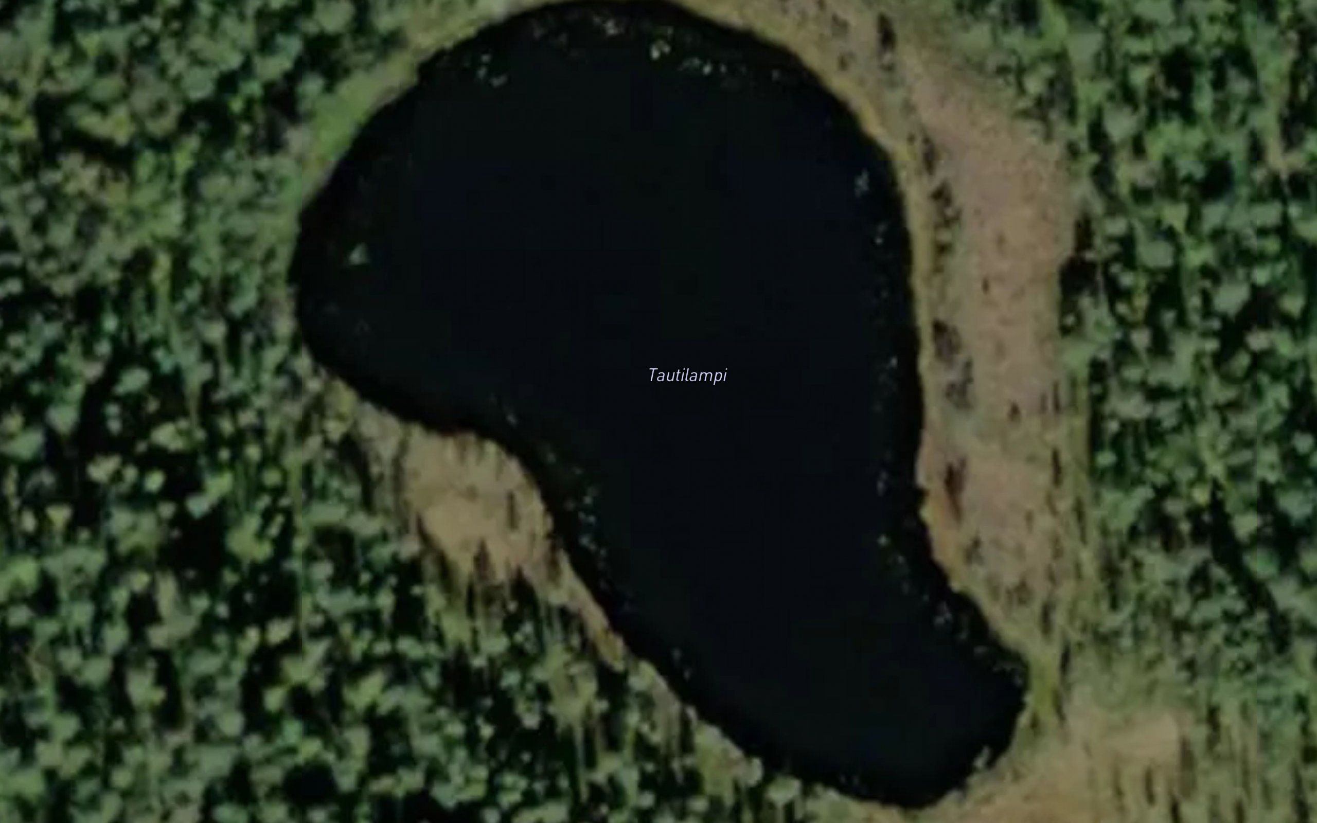 Tautilampi