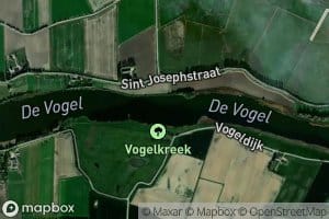Grote Vogel