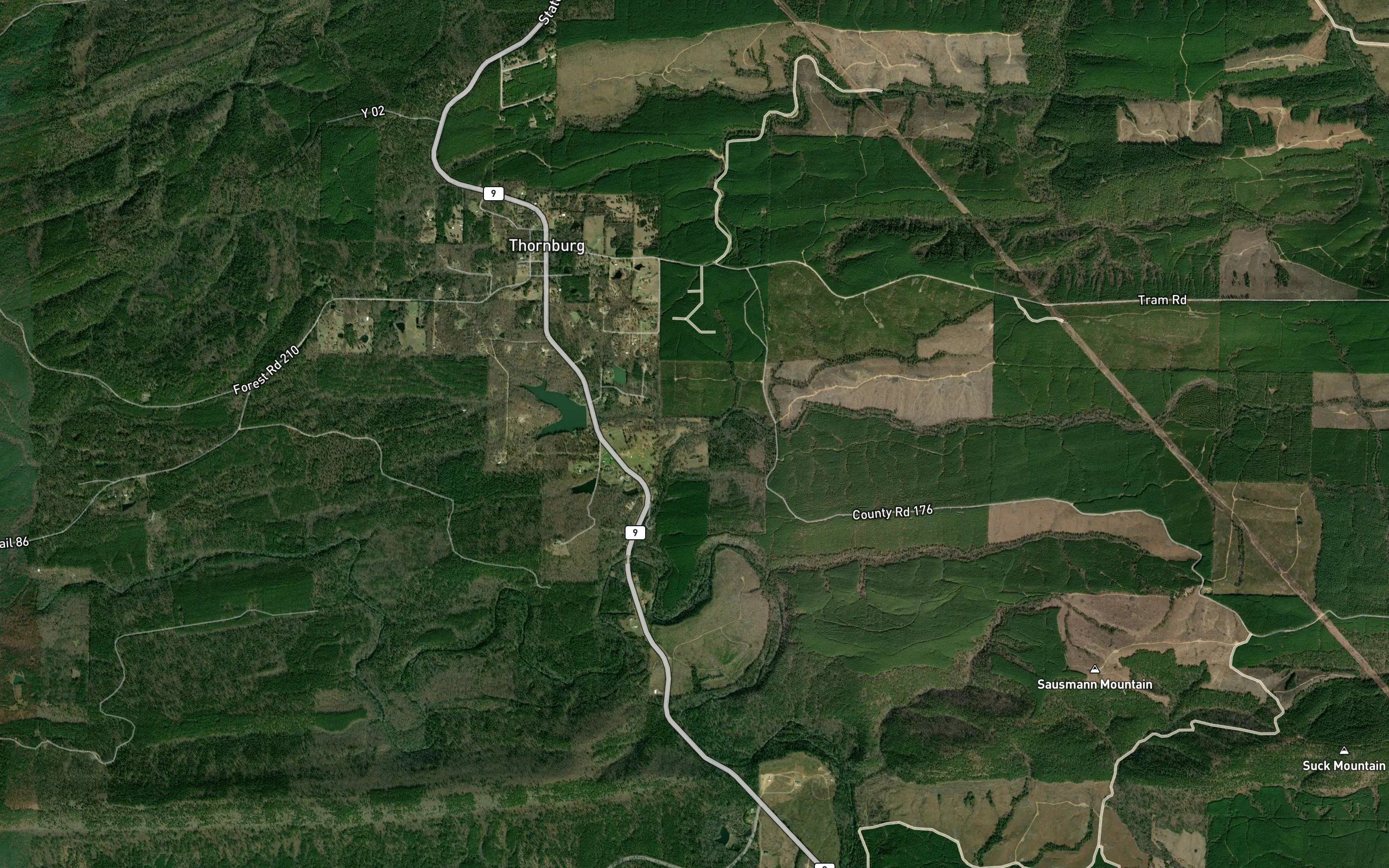 Bell Branch
