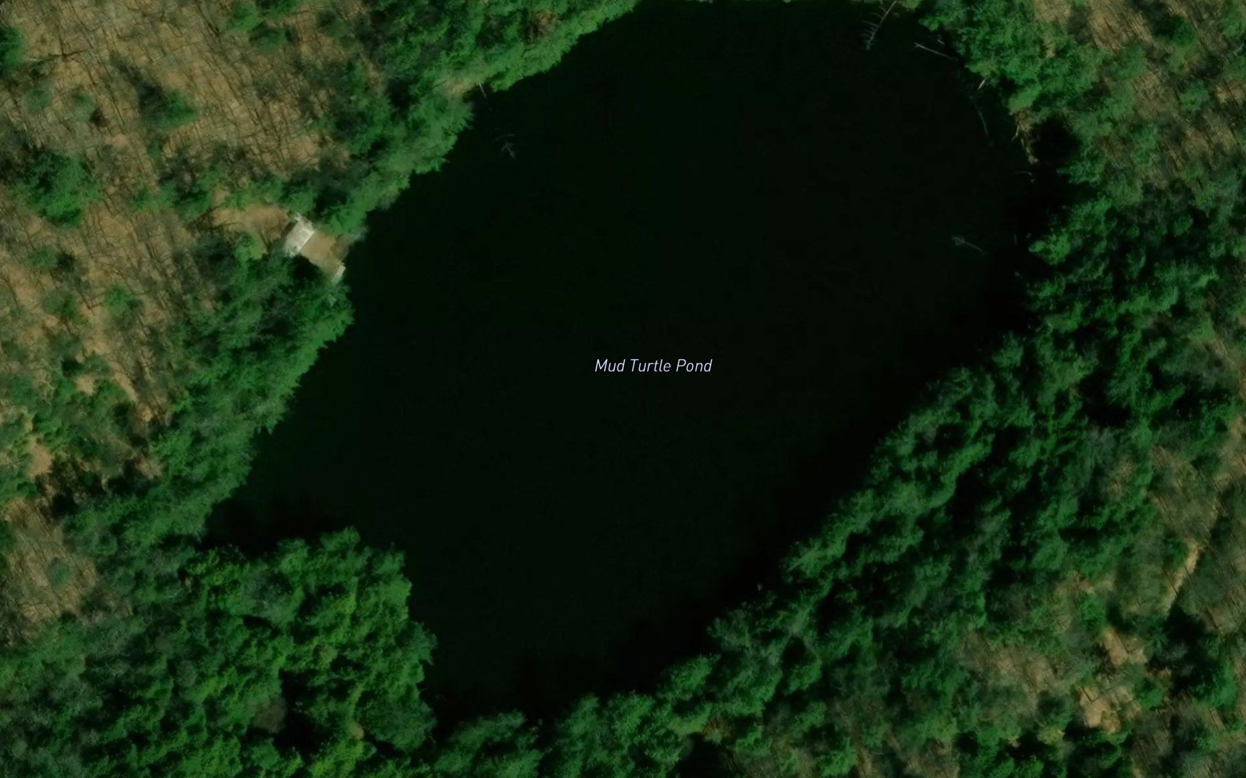 Mud Turtle Pond