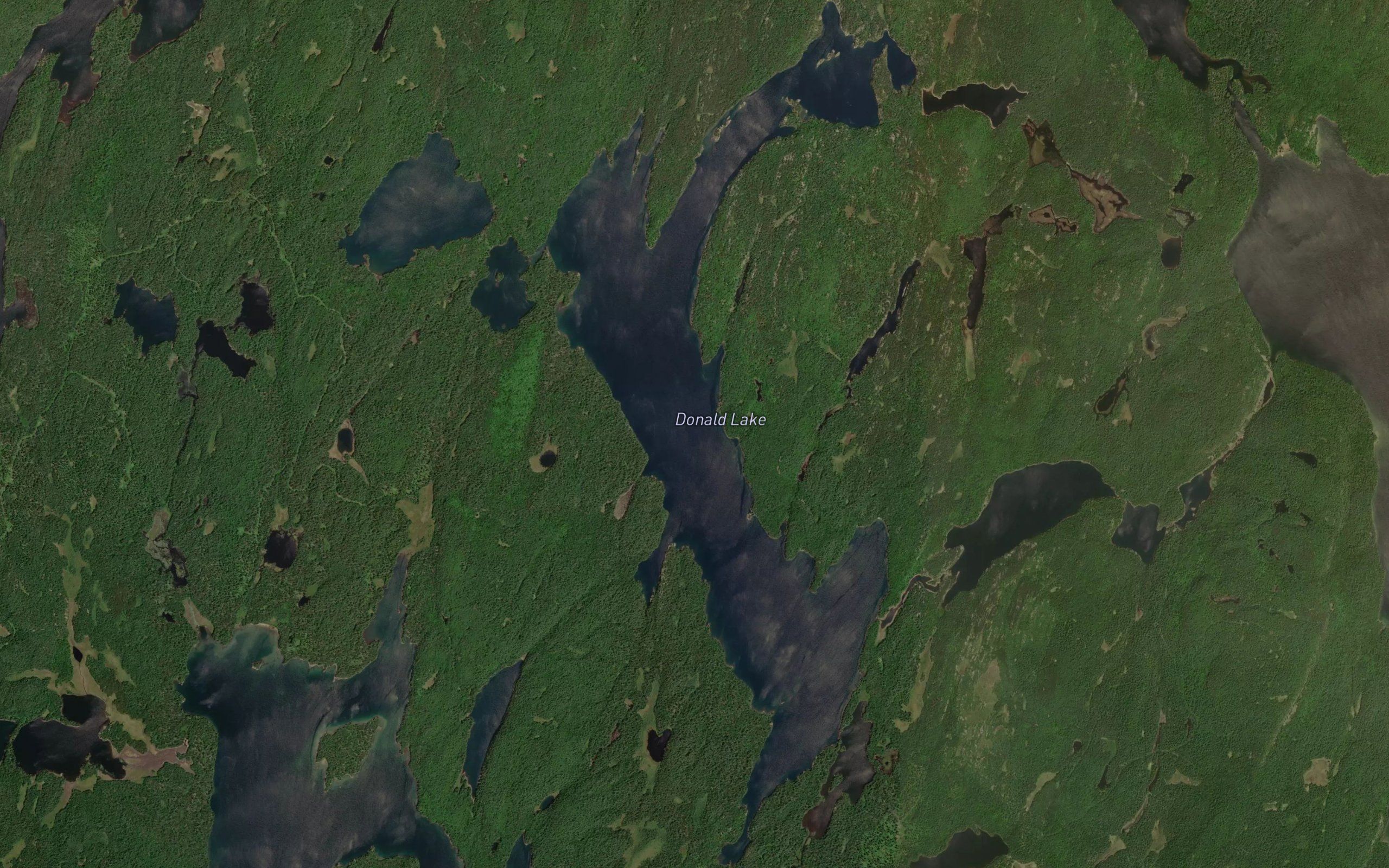 Donald Lake