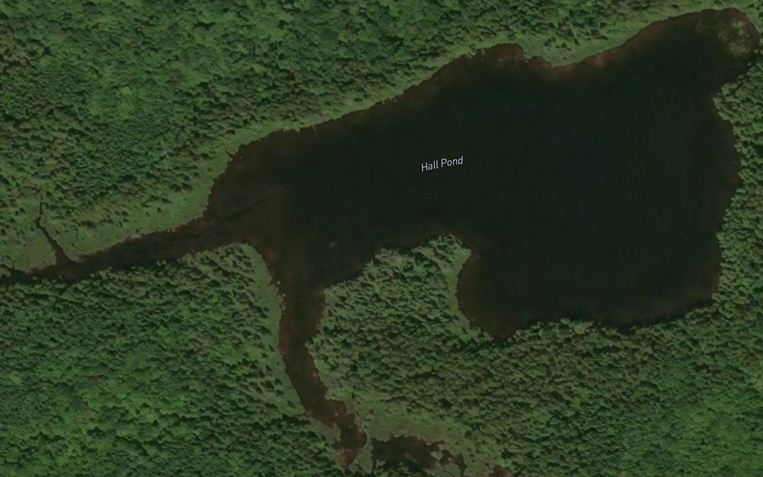 Hall Pond