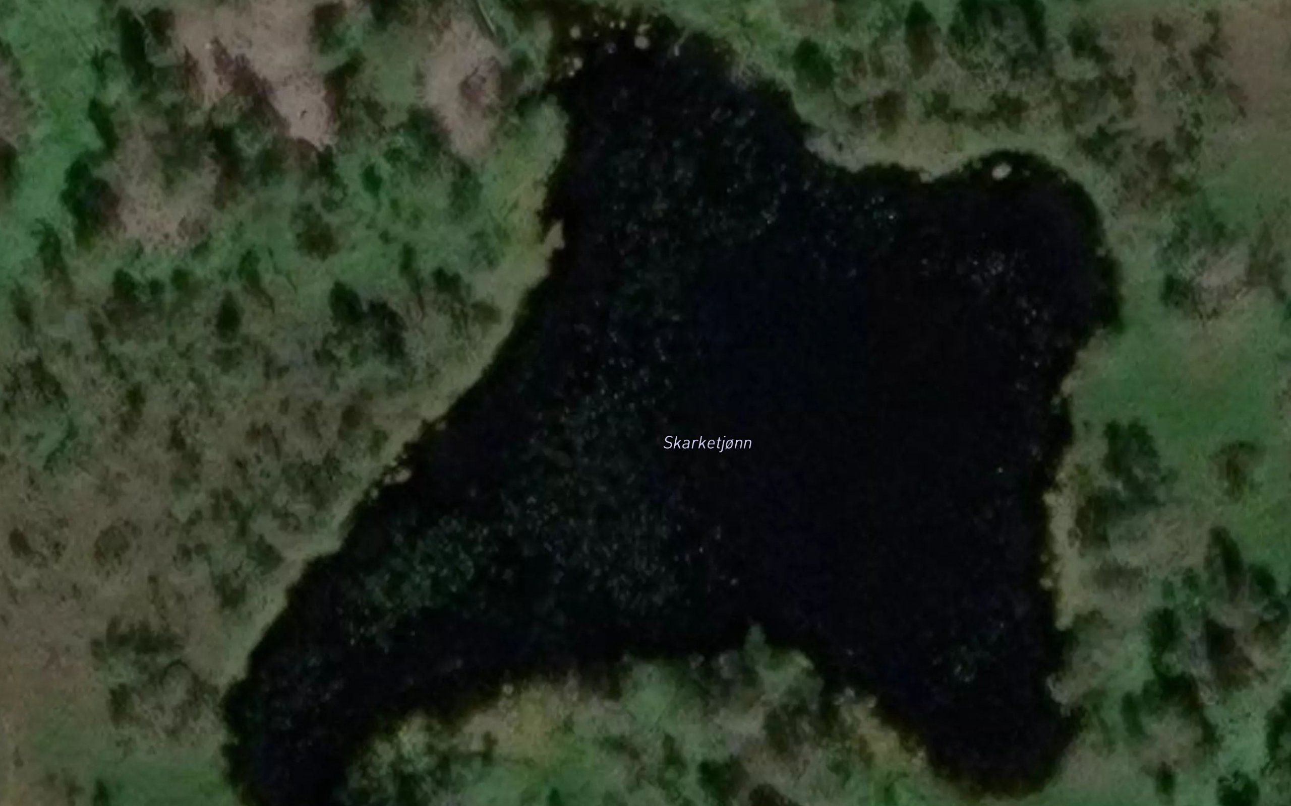 Skarketjonn