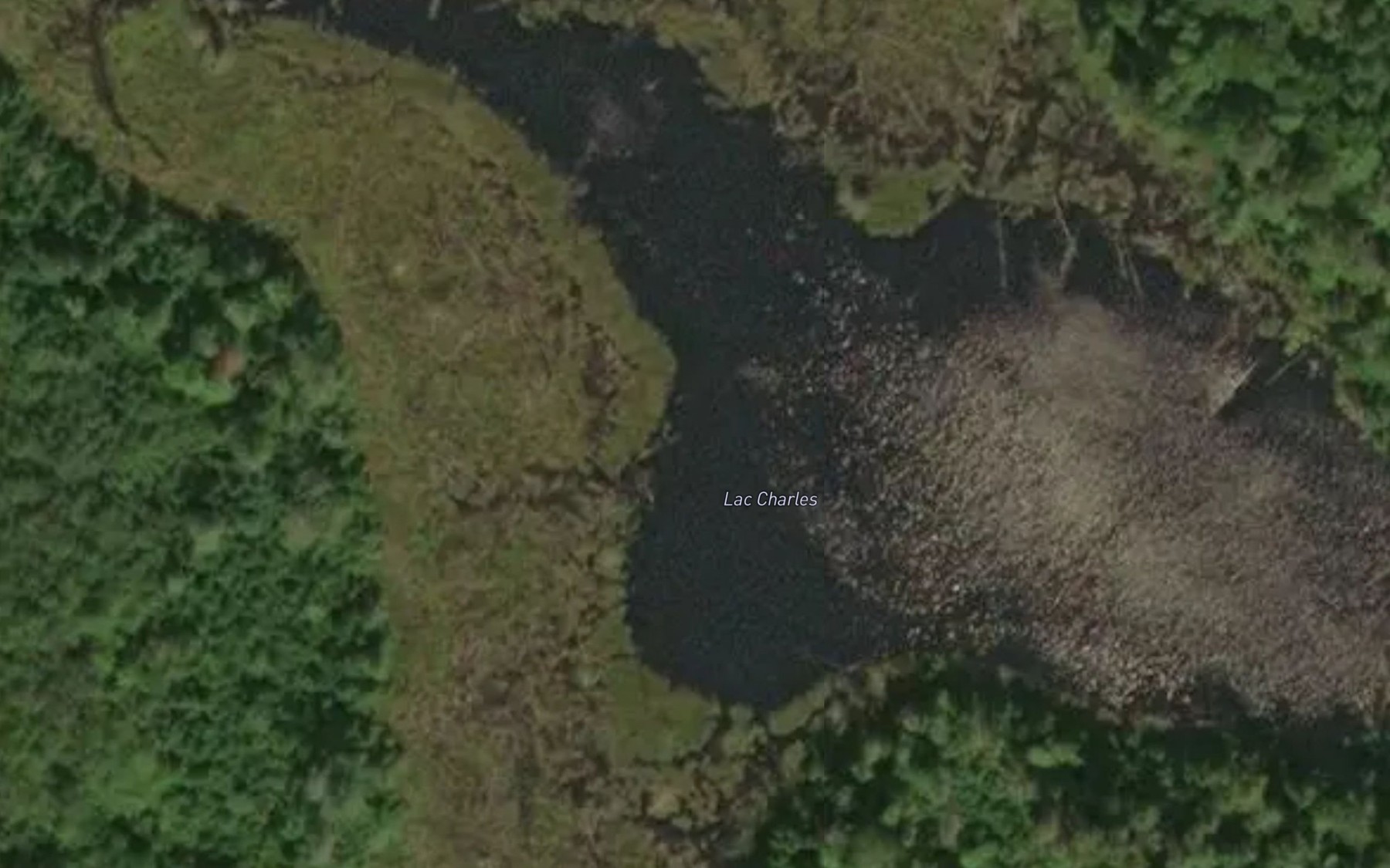 Satellite map of the Lac Charles