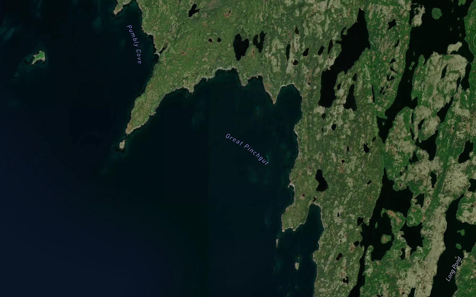 Satellite map of the Murphy Cove