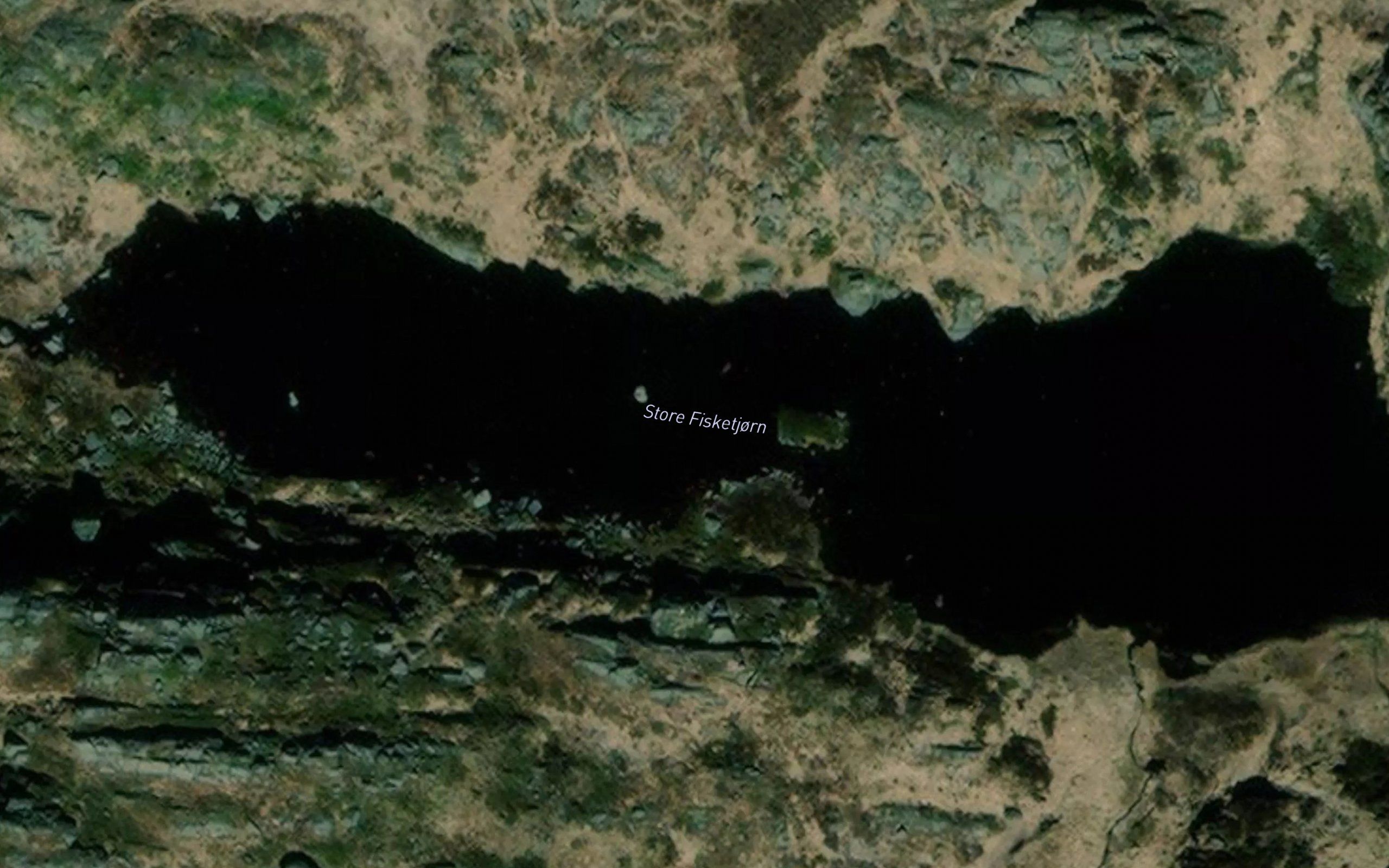 store Fisketjorn