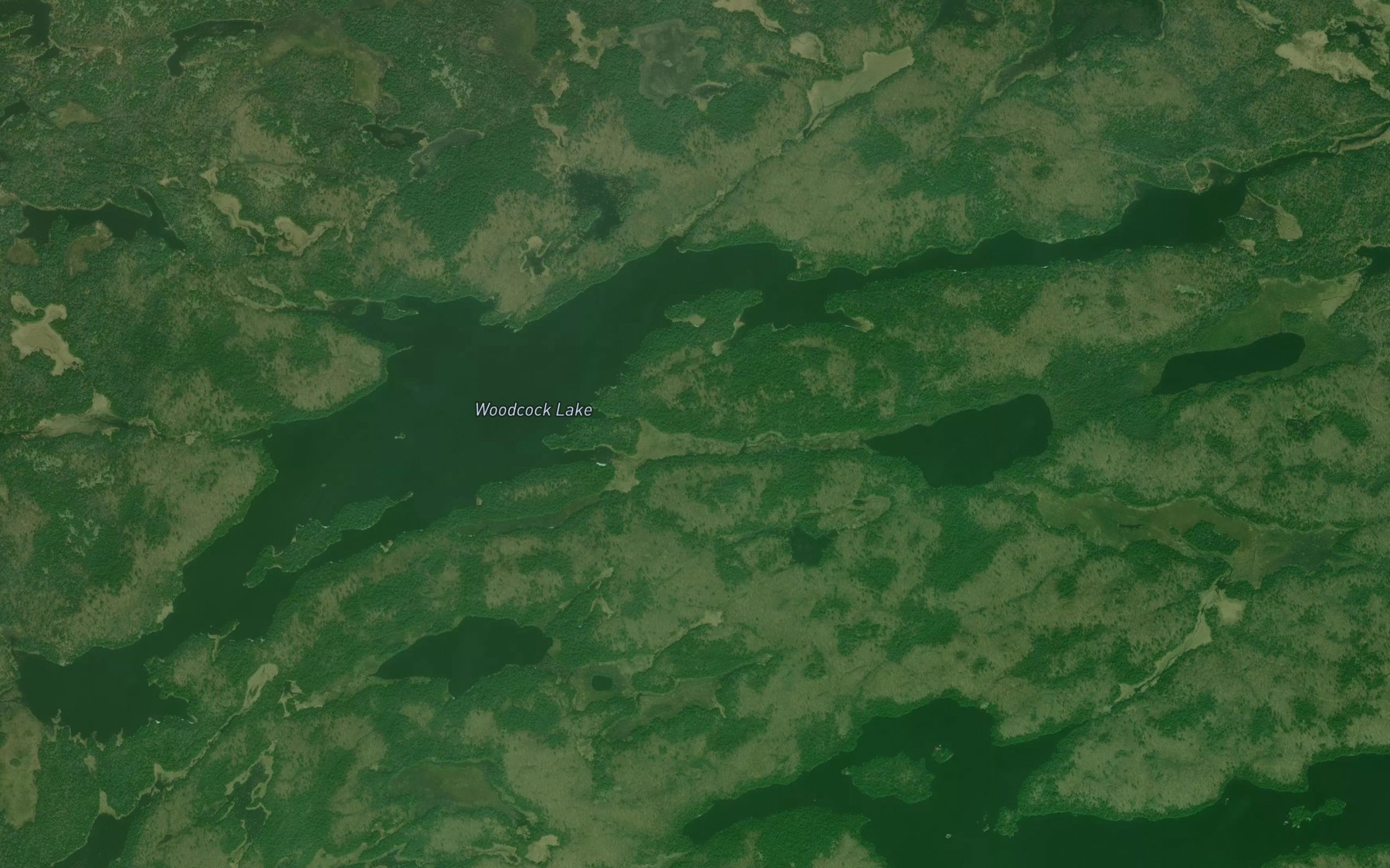 Satellite map of the Woodcock Lake
