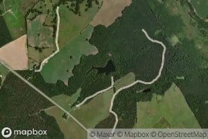 Bedenbaughs Pond Number Two