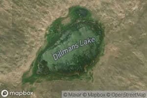 Dillmans Lake