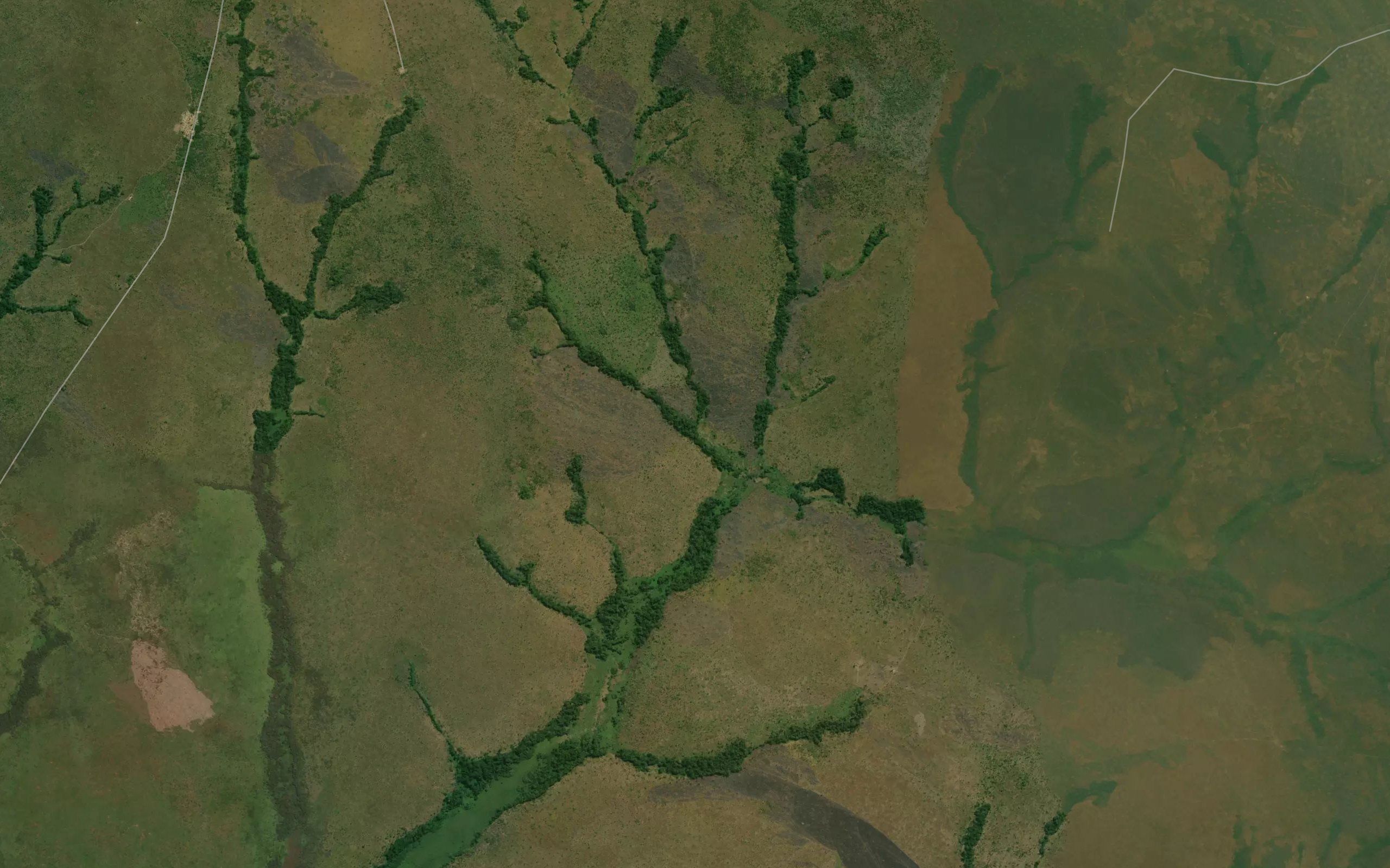 Kamaita