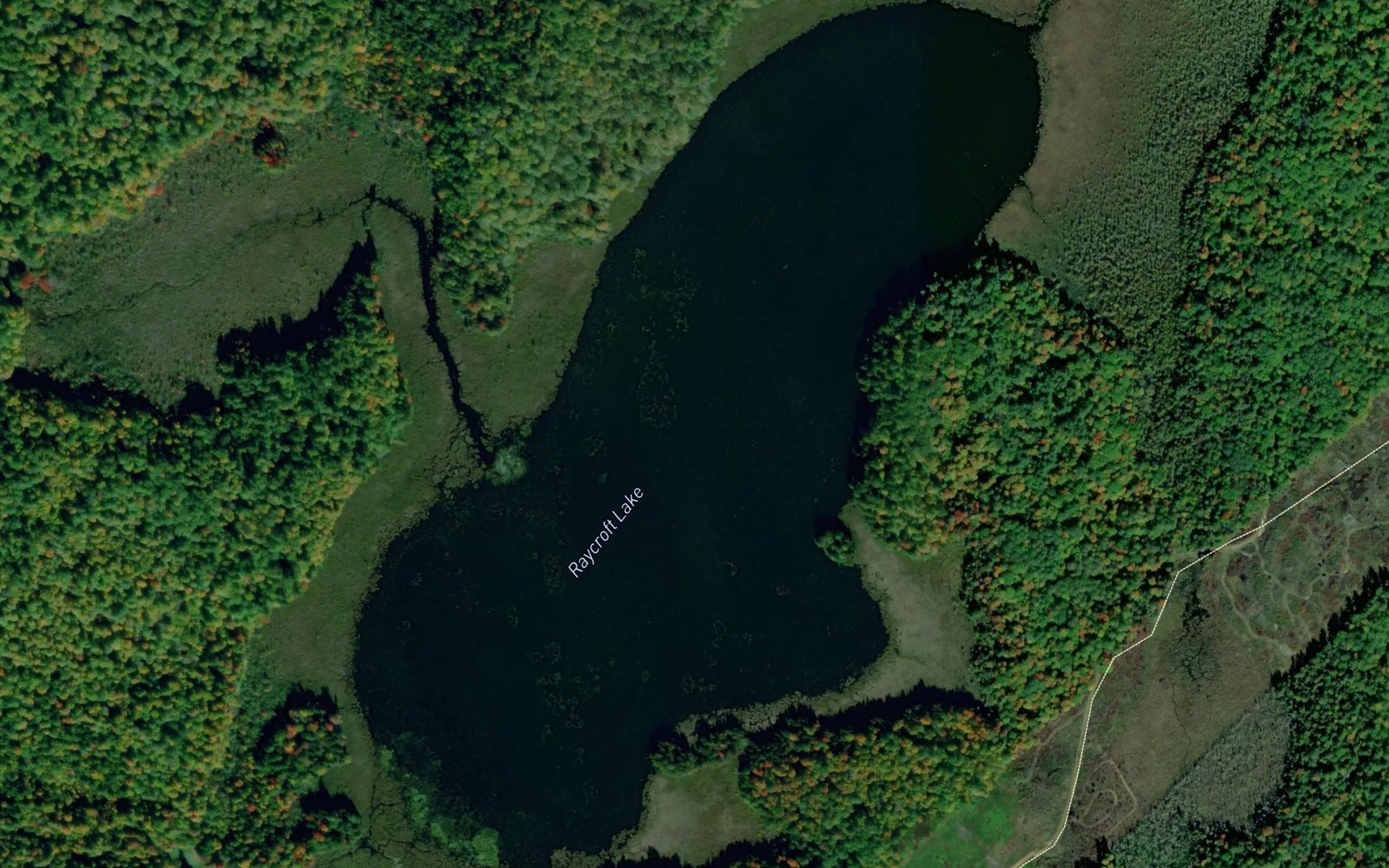 Satellite map of the Raycroft Lake