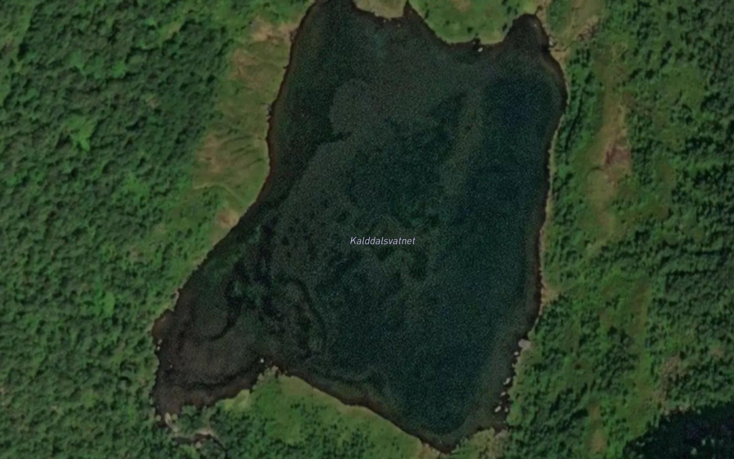 Kalddalsvatnet