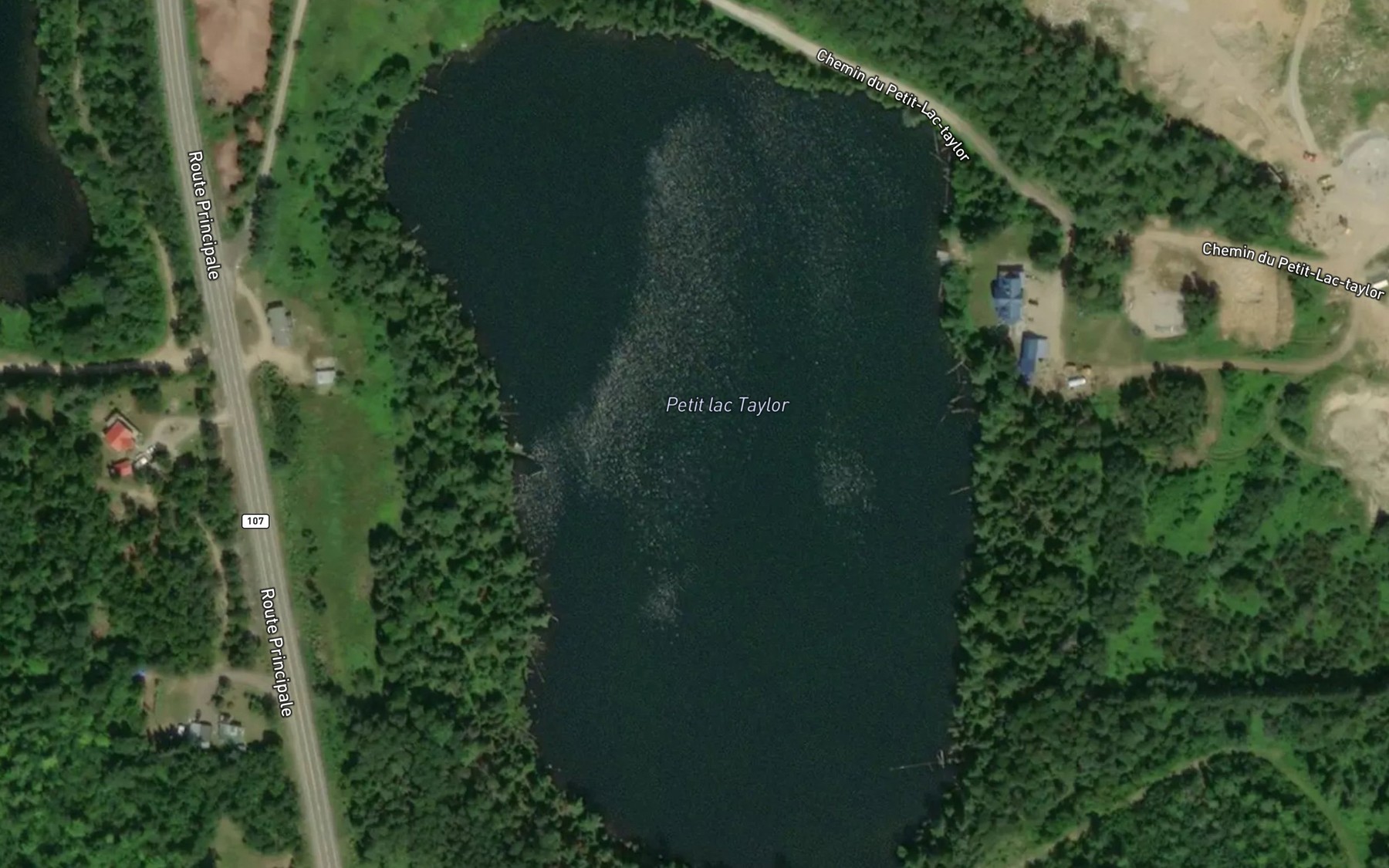 Satellite map of the Petit lac Taylor