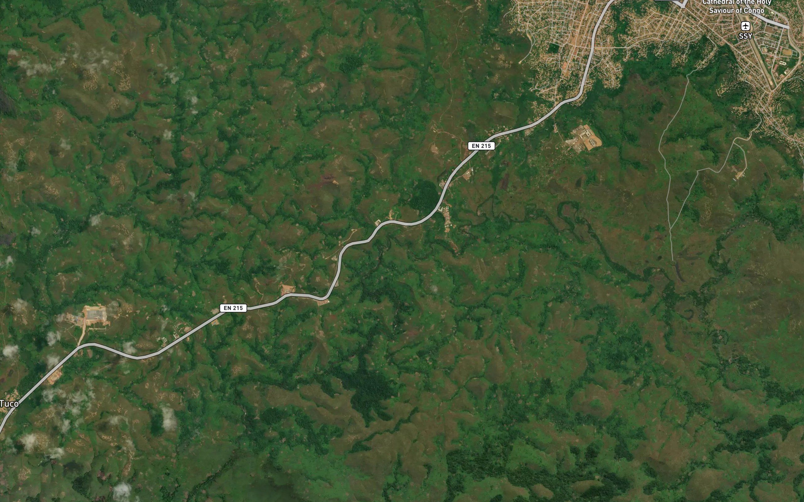 Tuamboco