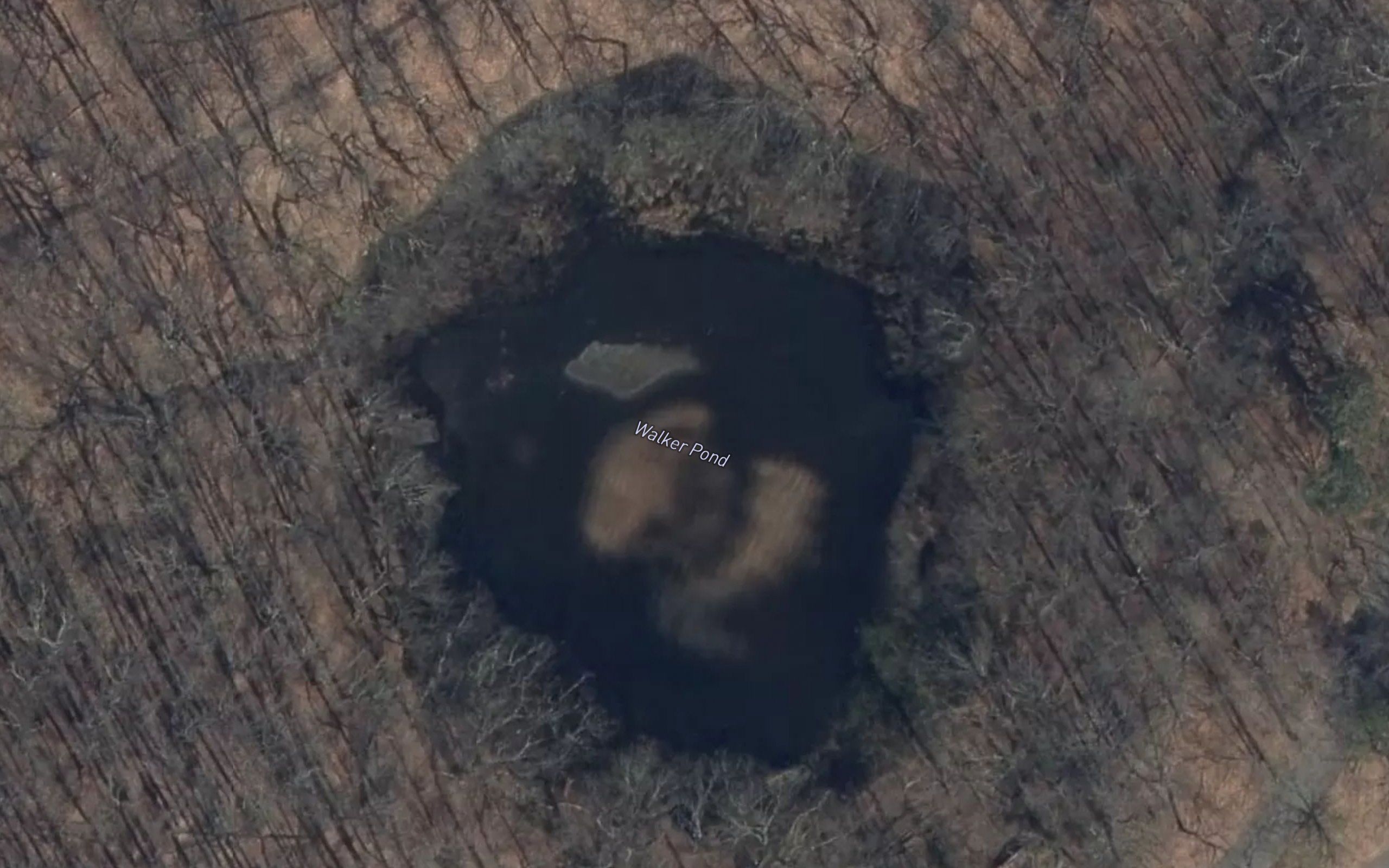 Walker Pond