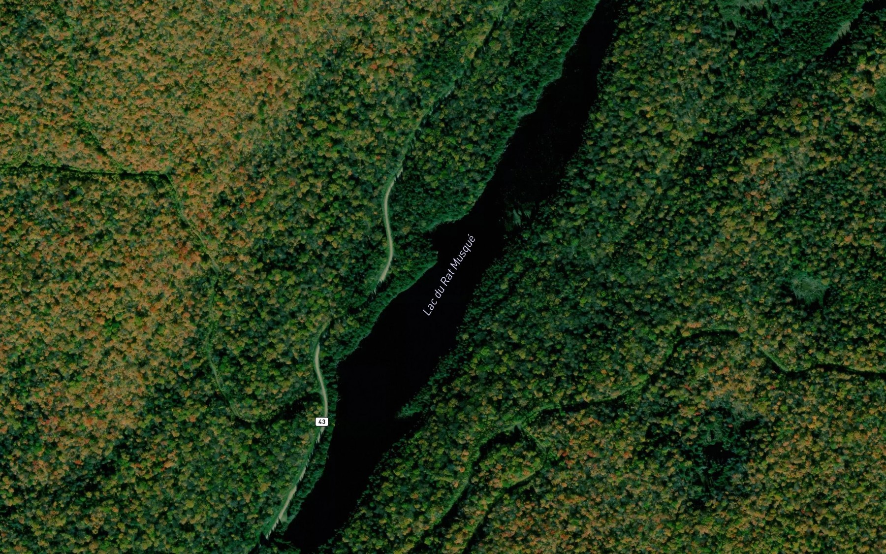 Satellite map of the Lac du Rat Musque