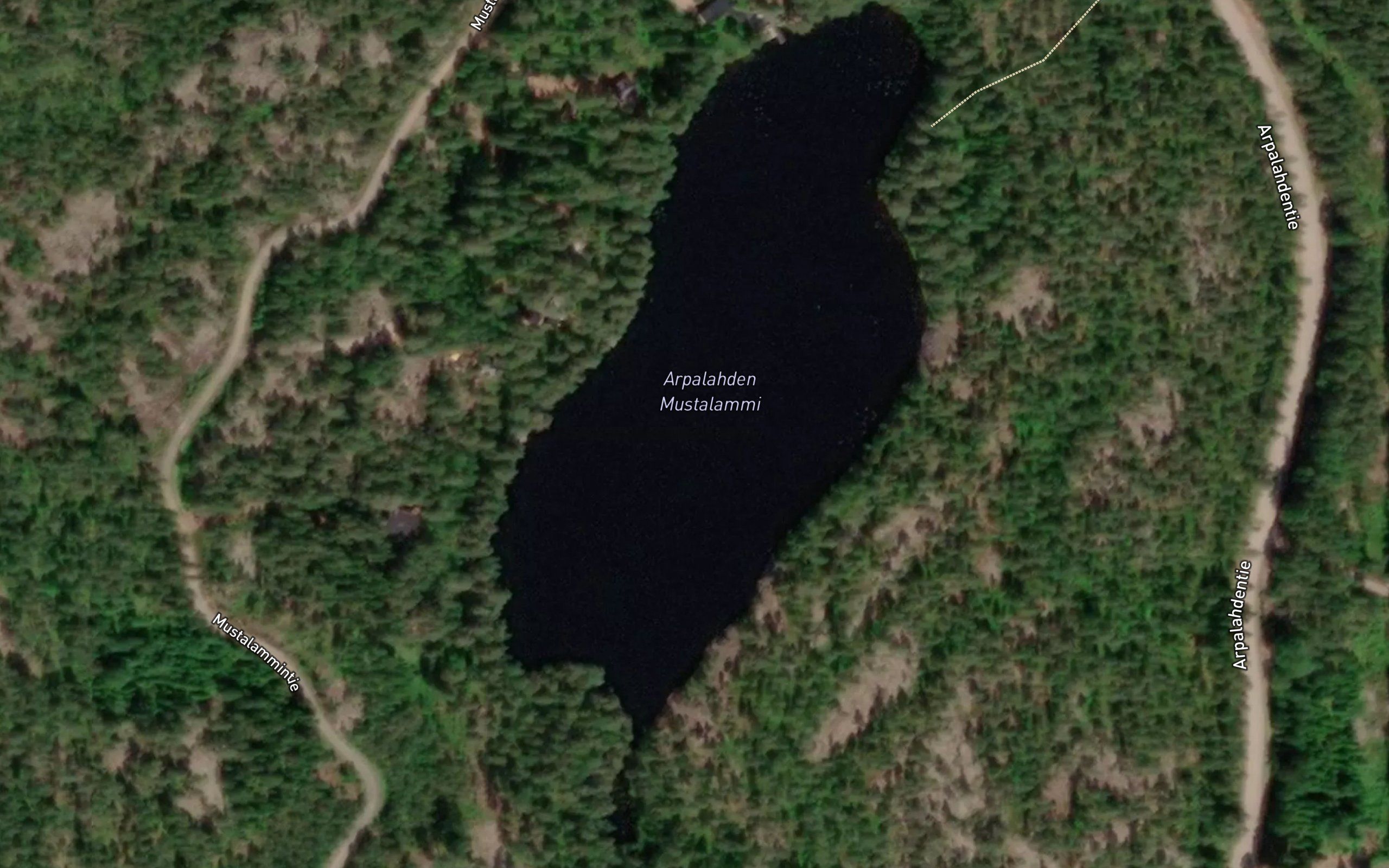 Arpalahden Mustalammi