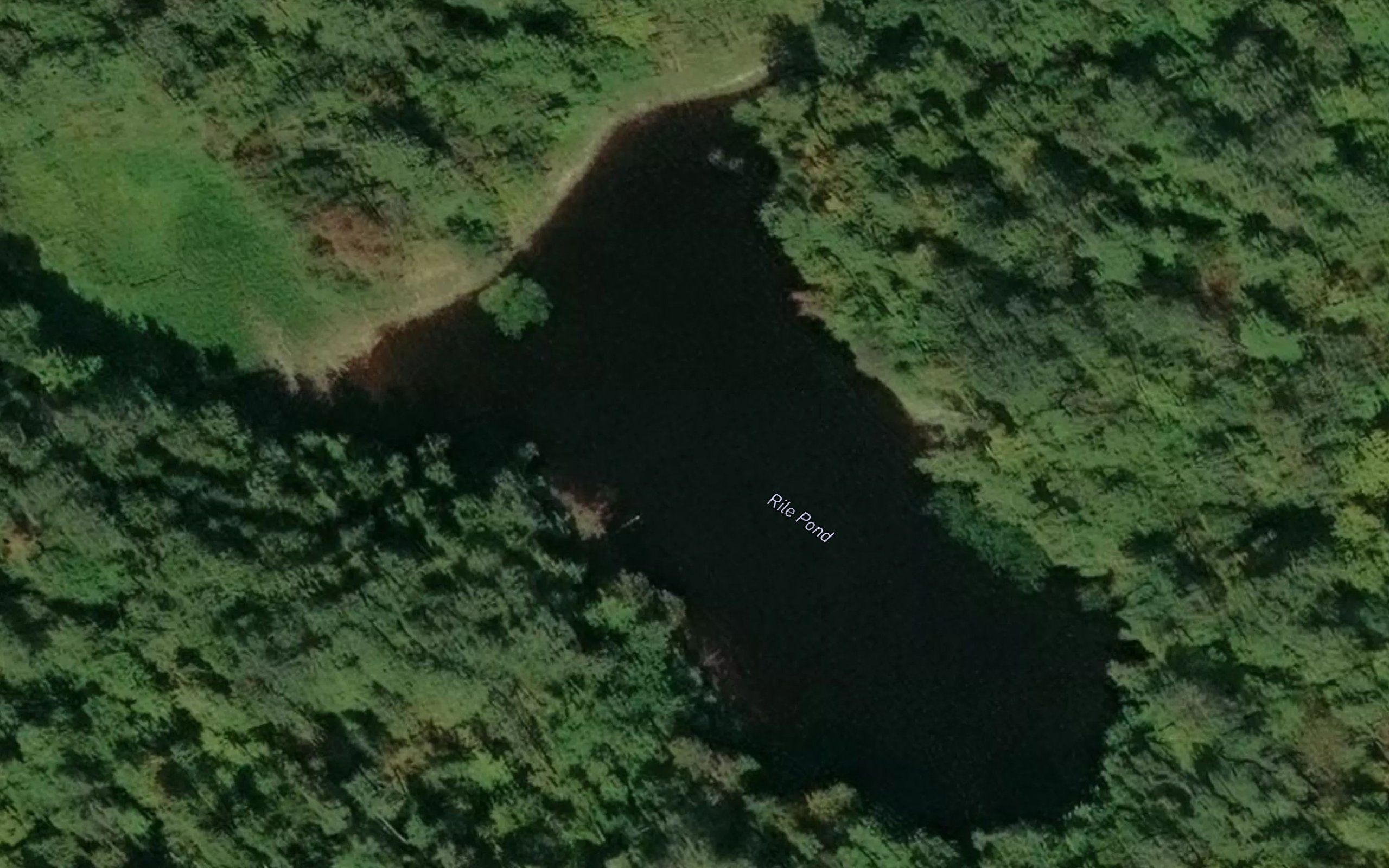 Rile Pond