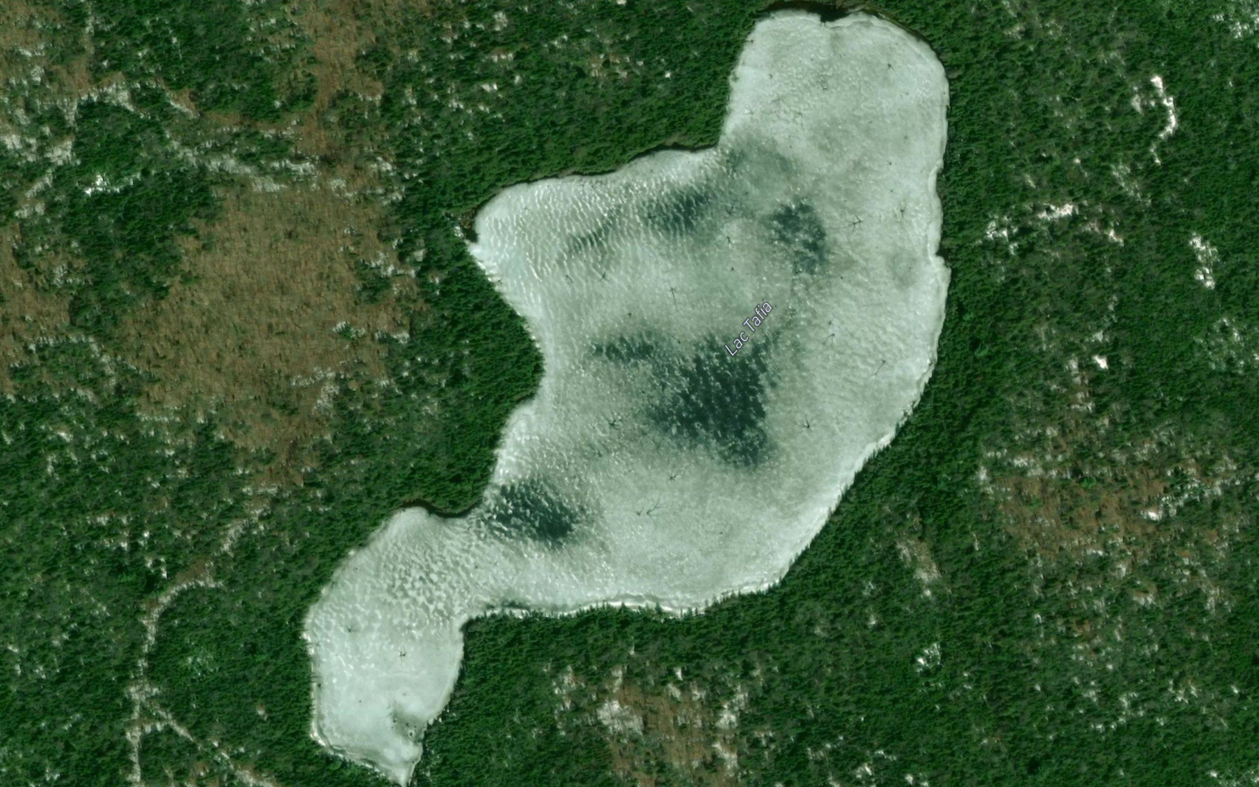 Lac Tafia