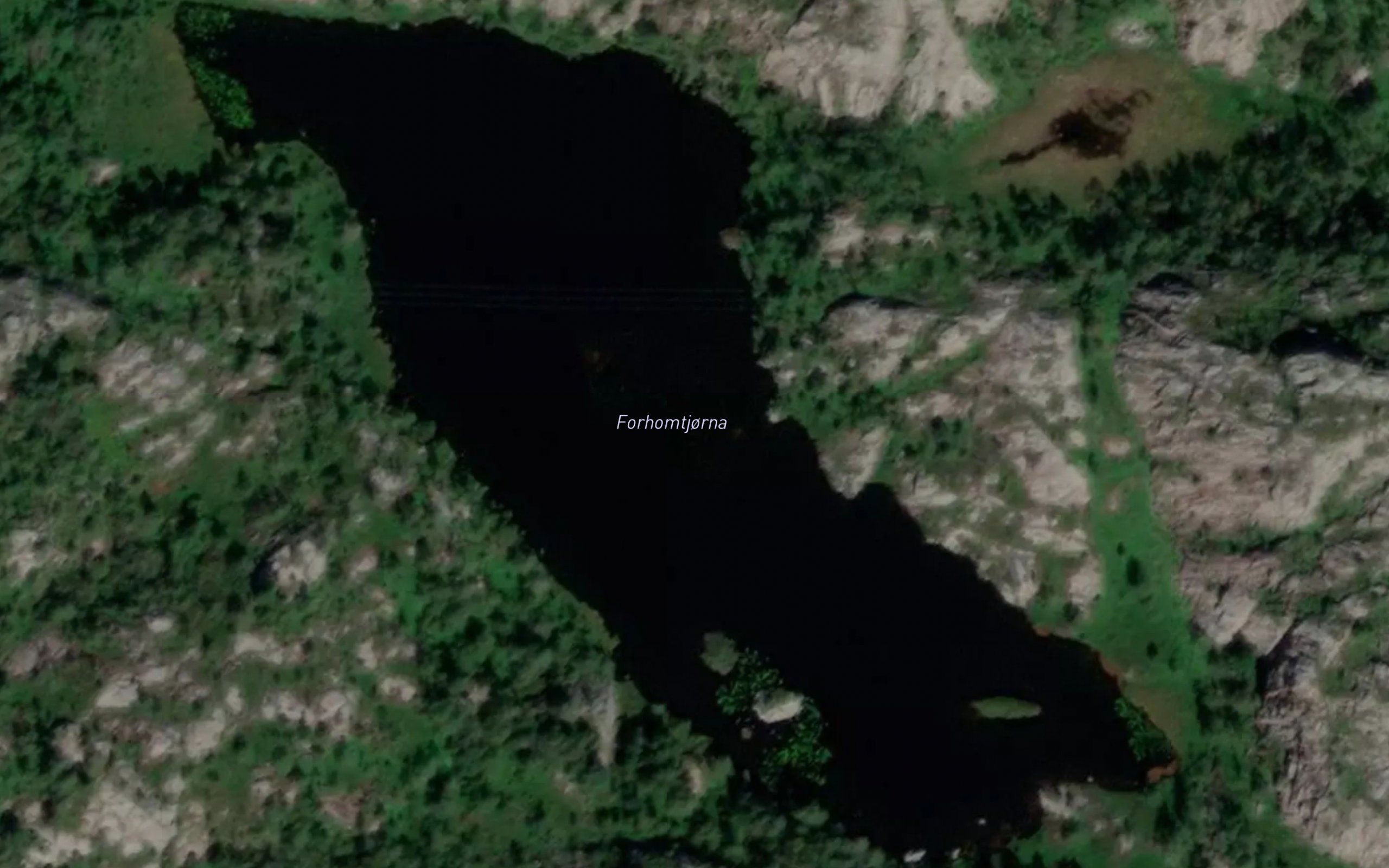 Forhomtjorna