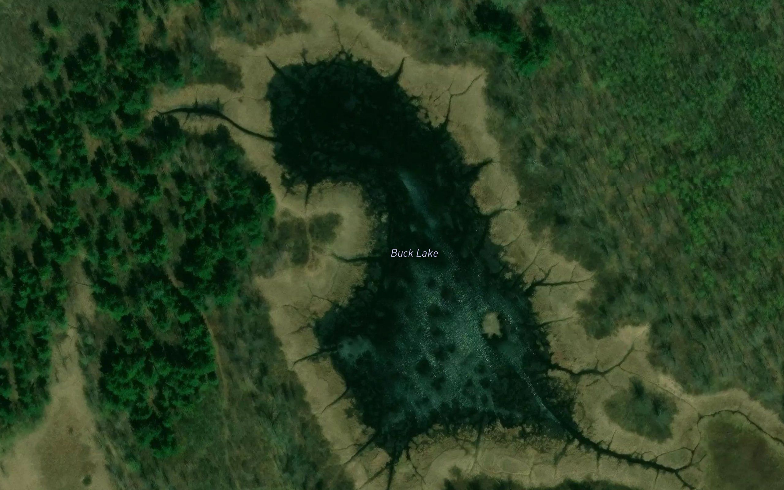 Buck Lake