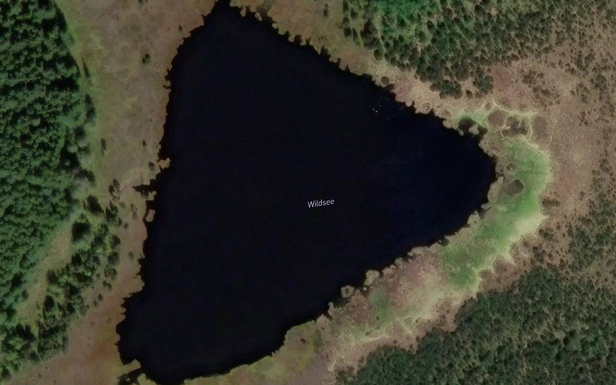 Wildsee