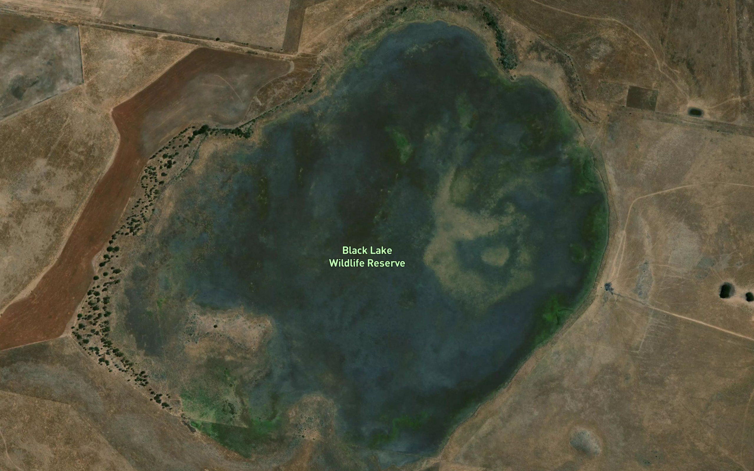 Black Lake