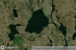 Tolt Ponds