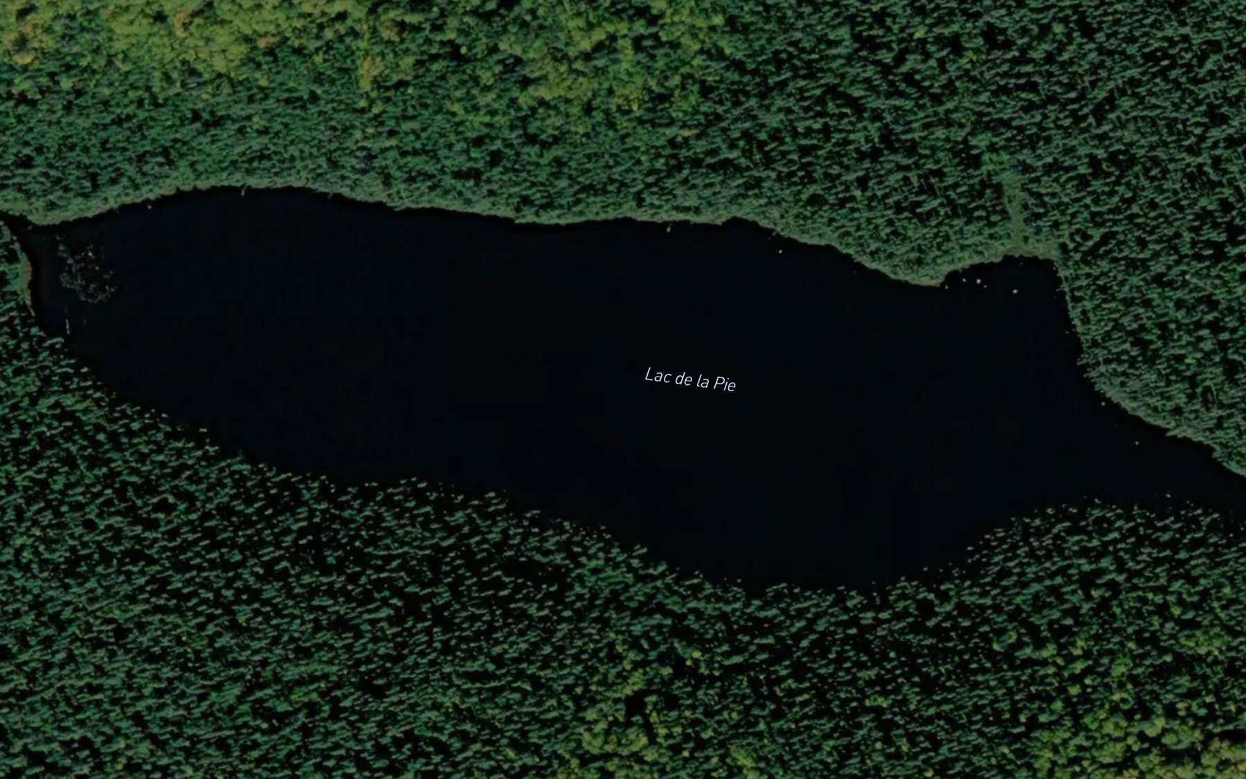 Satellite map of the Lac de la Pie