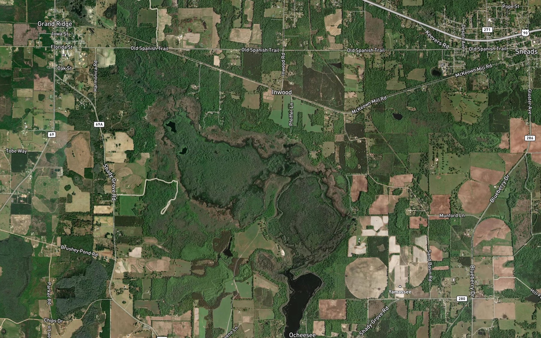 Satellite map of the Ocheesee Pond
