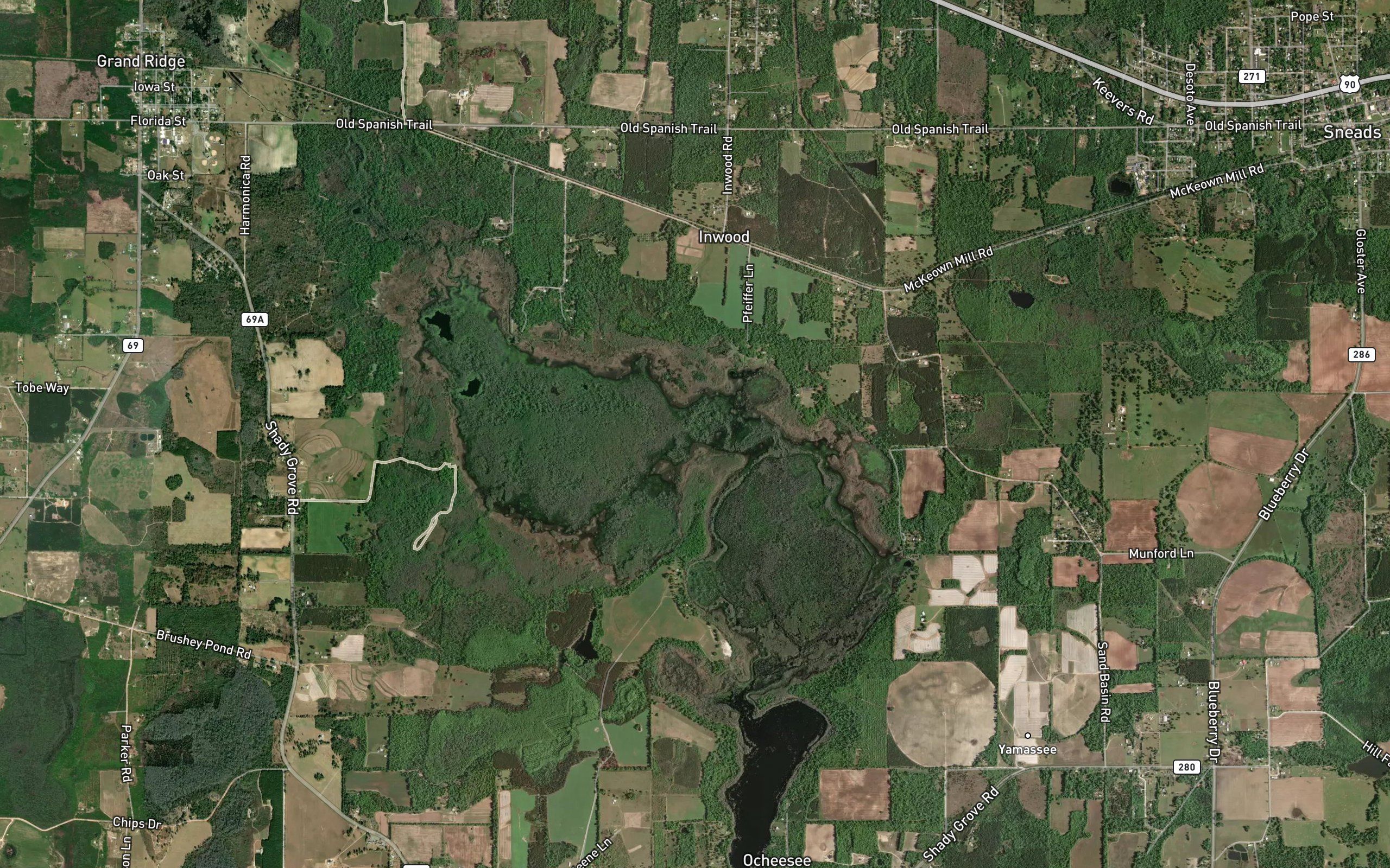 Ocheesee Pond