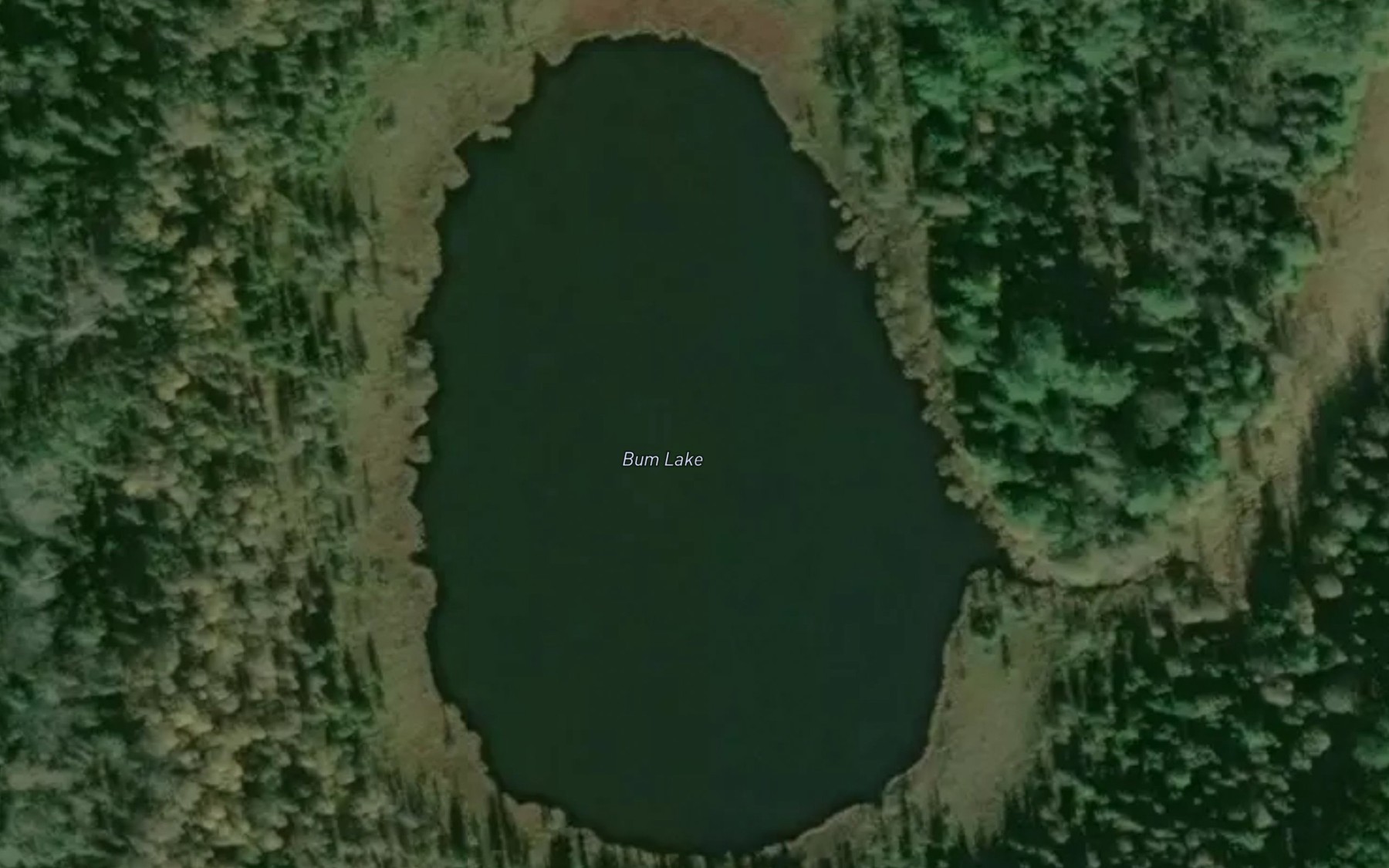 Satellite map of the Bum Lake