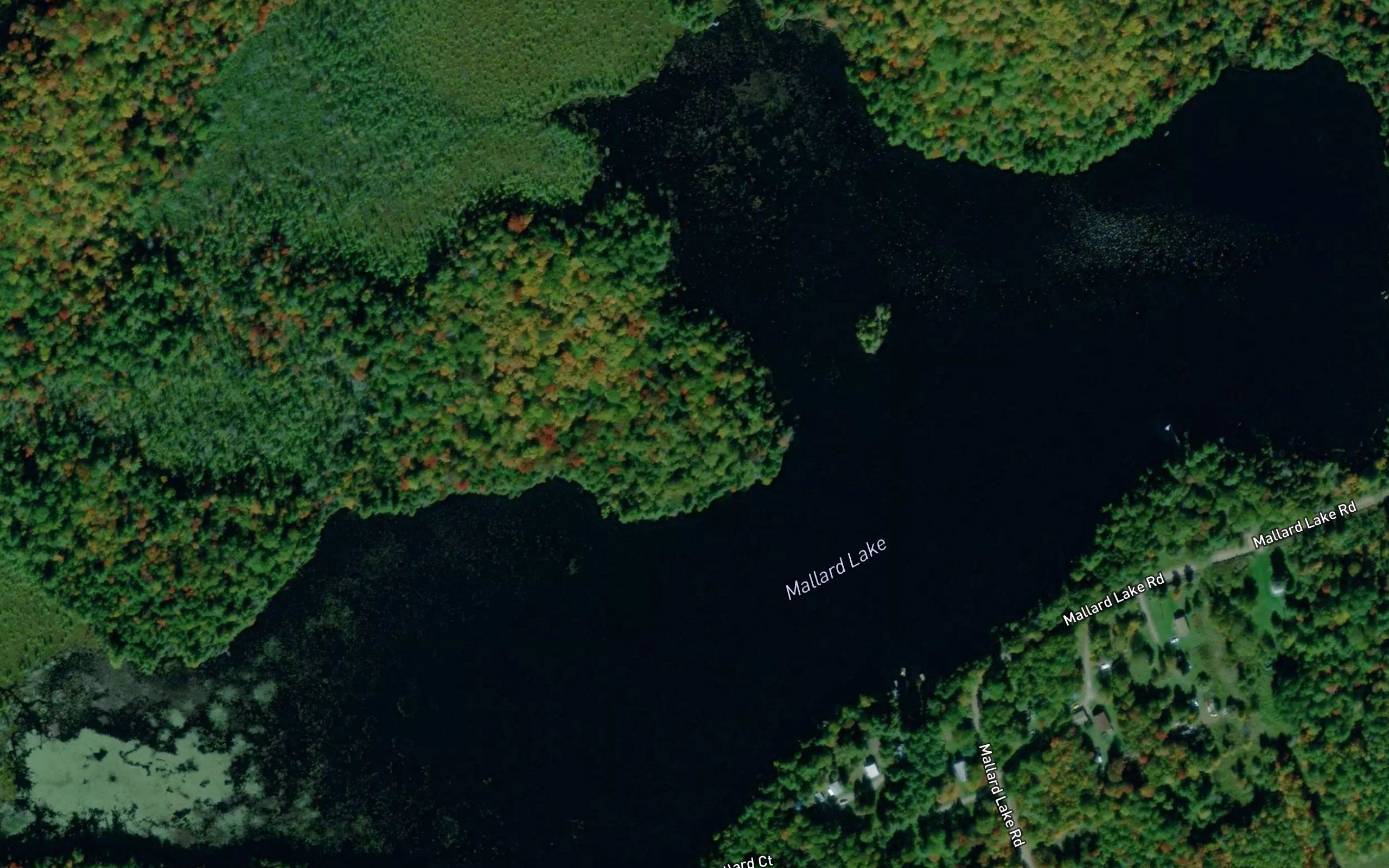 Mallard Lake