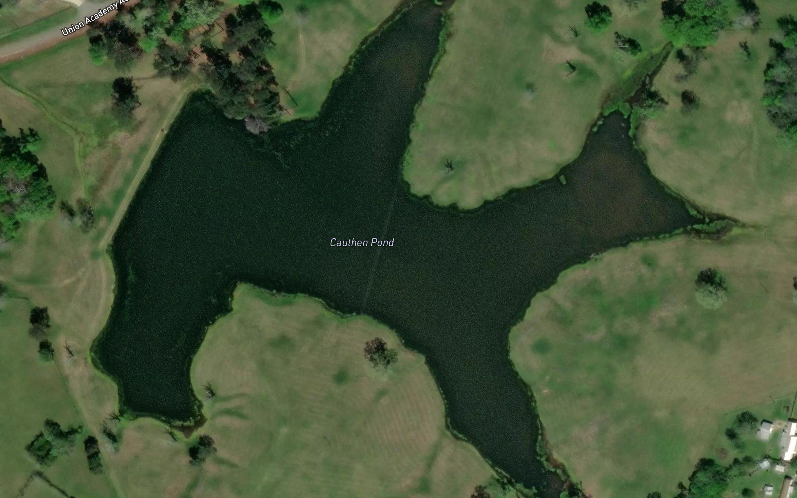 Cauthen Pond