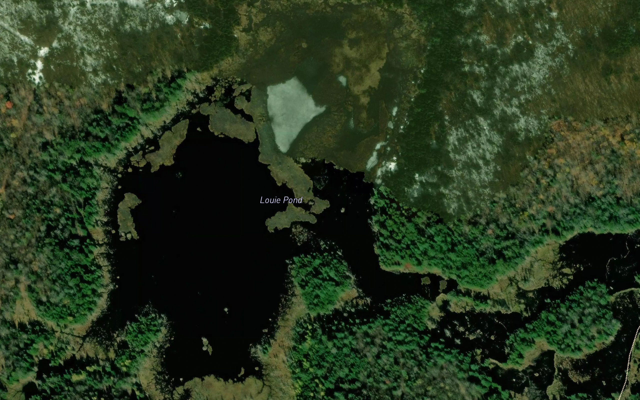 Louie Pond