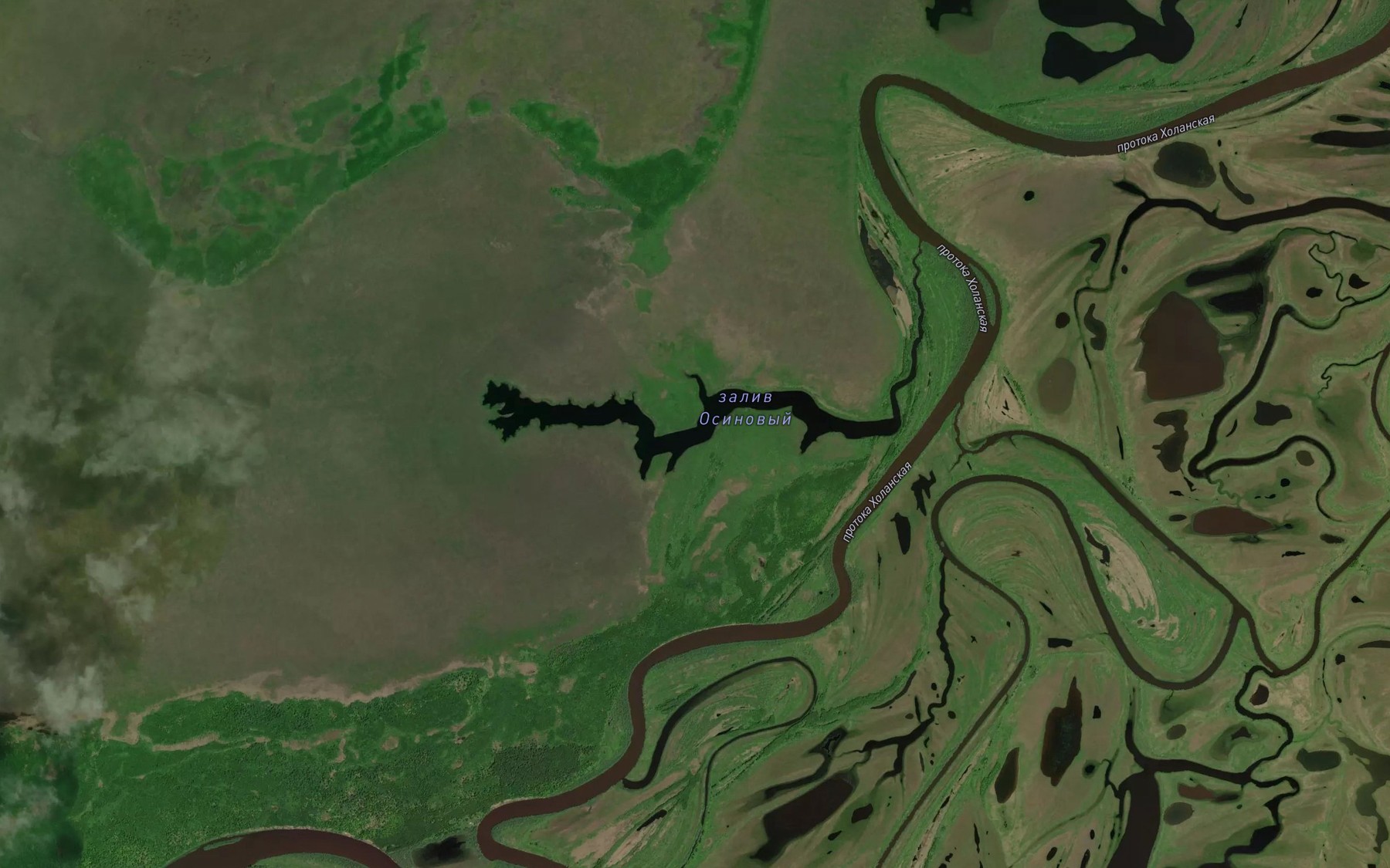 Satellite map of the Zaliv Osinovyy