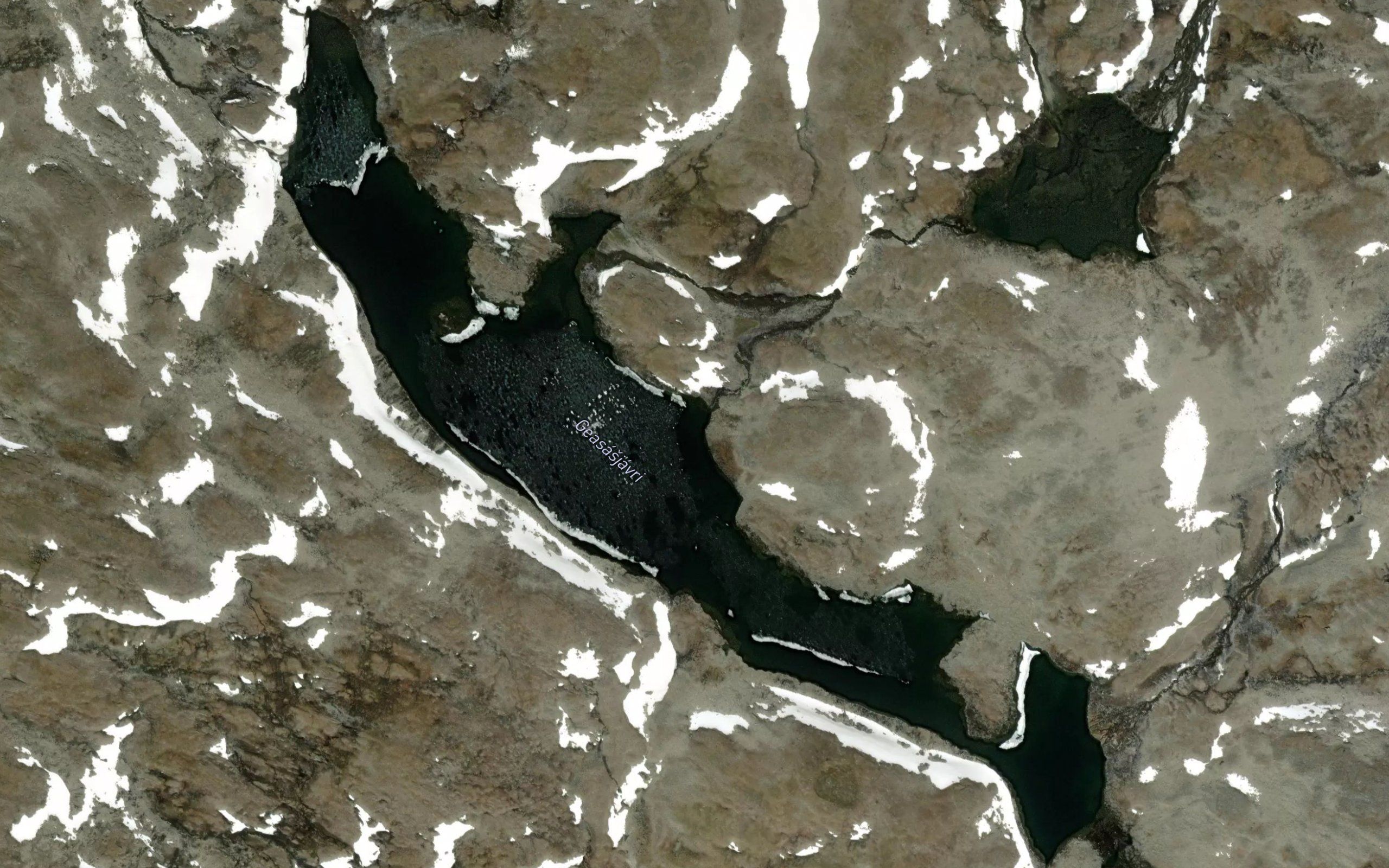Geasasjavri
