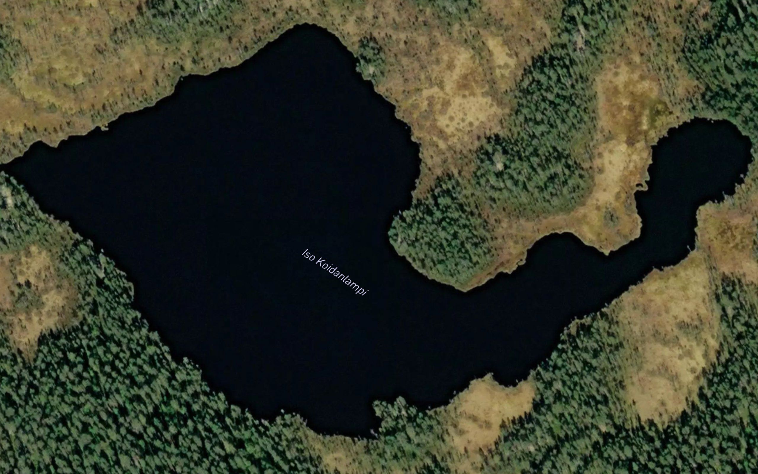 Iso Koidanlampi