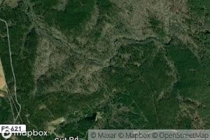 Red Hill Spring Branch