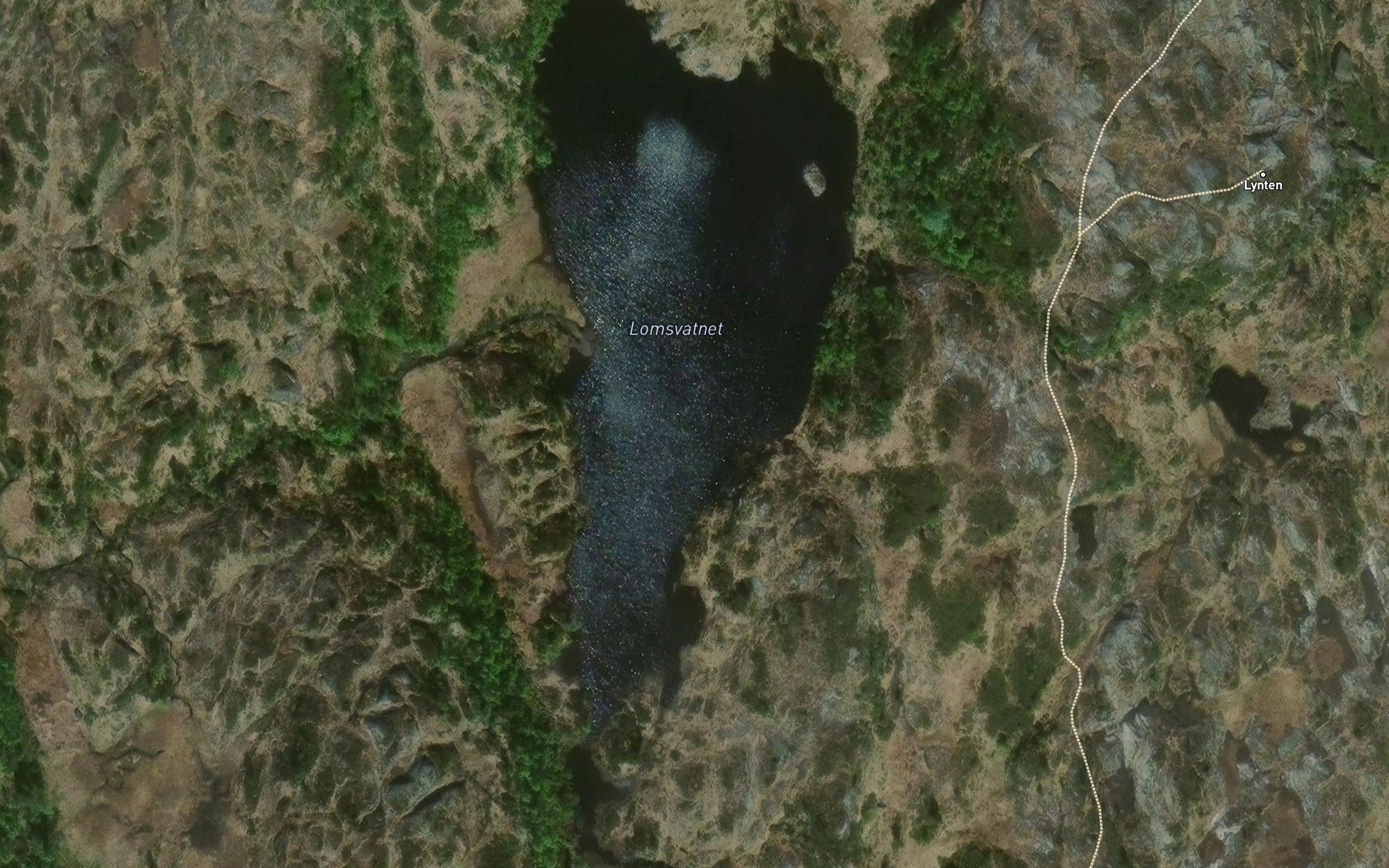 Lomsvatnet
